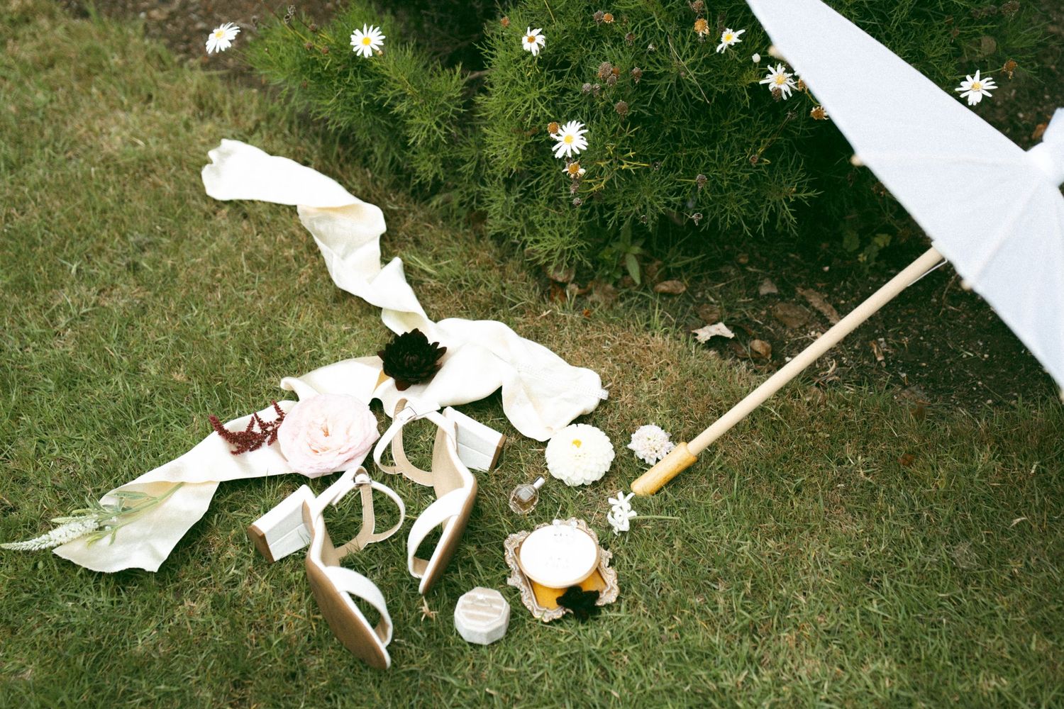 White flower petals scattered across green grass creating a delicate path or design.