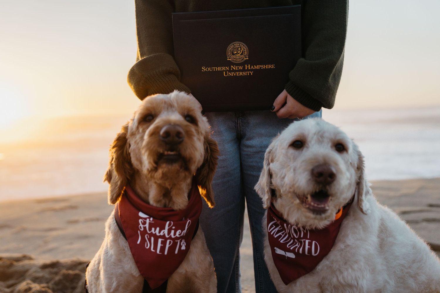 Graduation photos along Big Sur with dogs