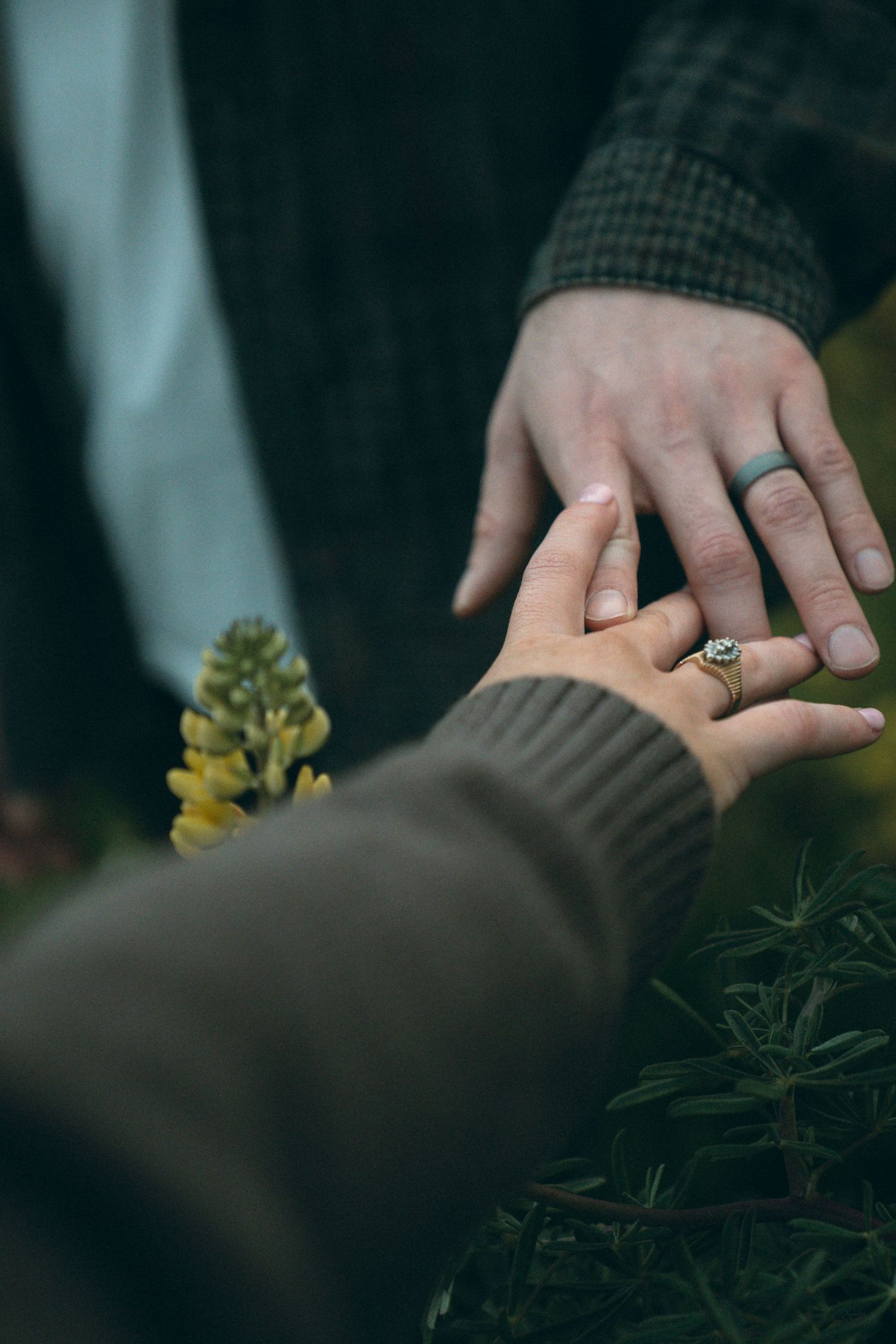 Close-up of hands displaying engagement rings against green foliage.