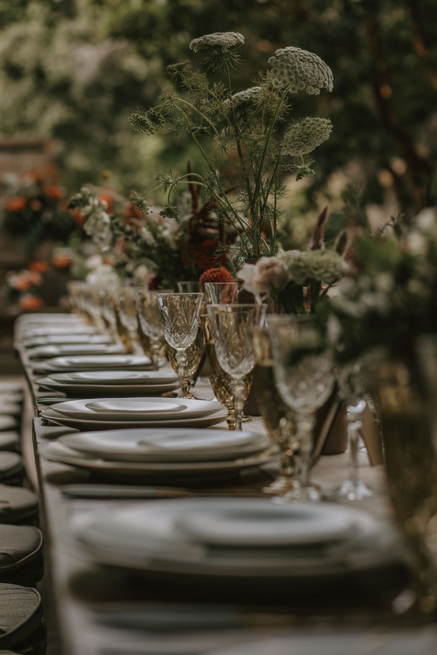 An elegant table setting with crystal glasses and white plates features delicate Queen Anne's lace flowers in natural decor.