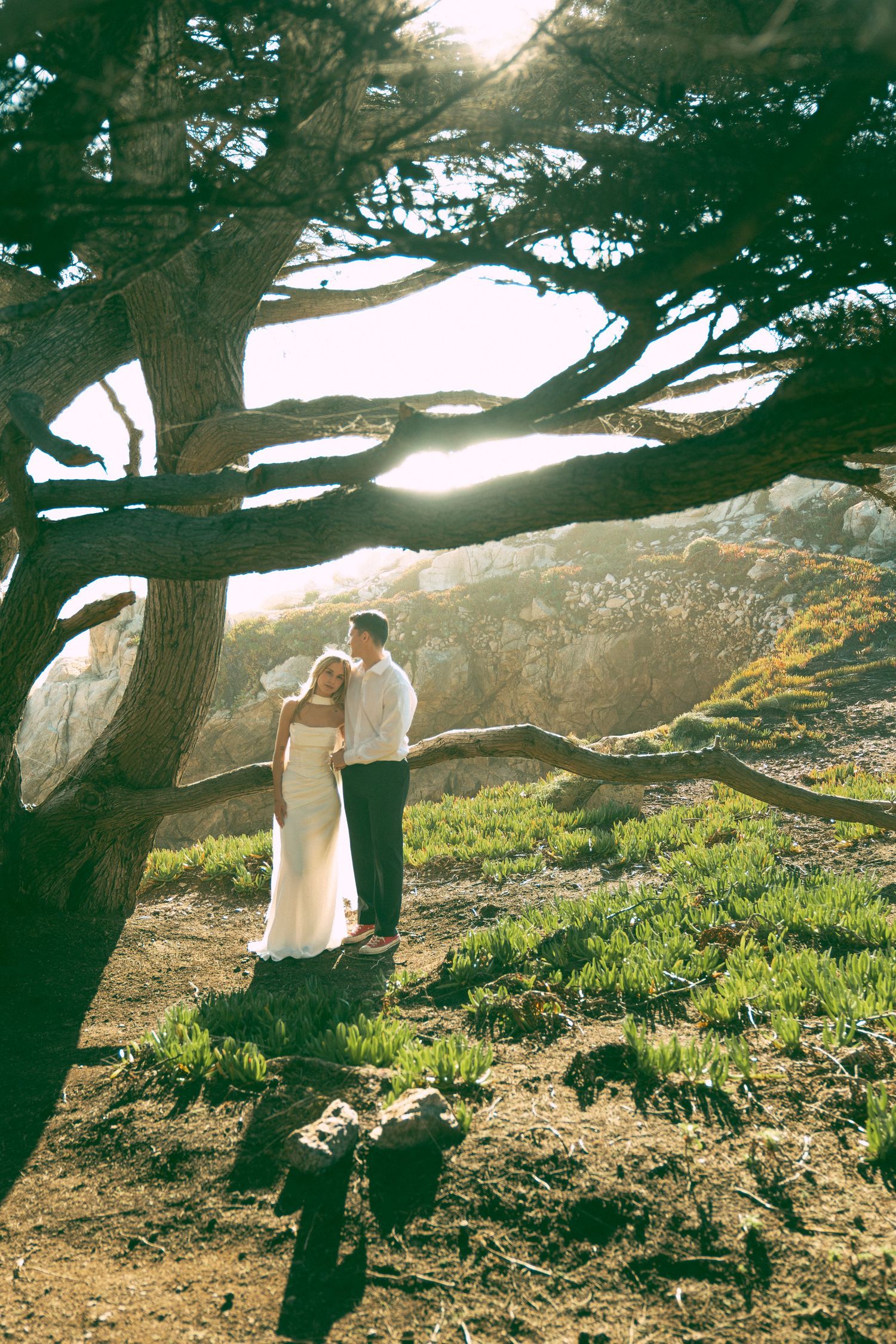 A dreamy scene of figures in white dresses walking beneath the sprawling branches of a cypress tree at sunset.
