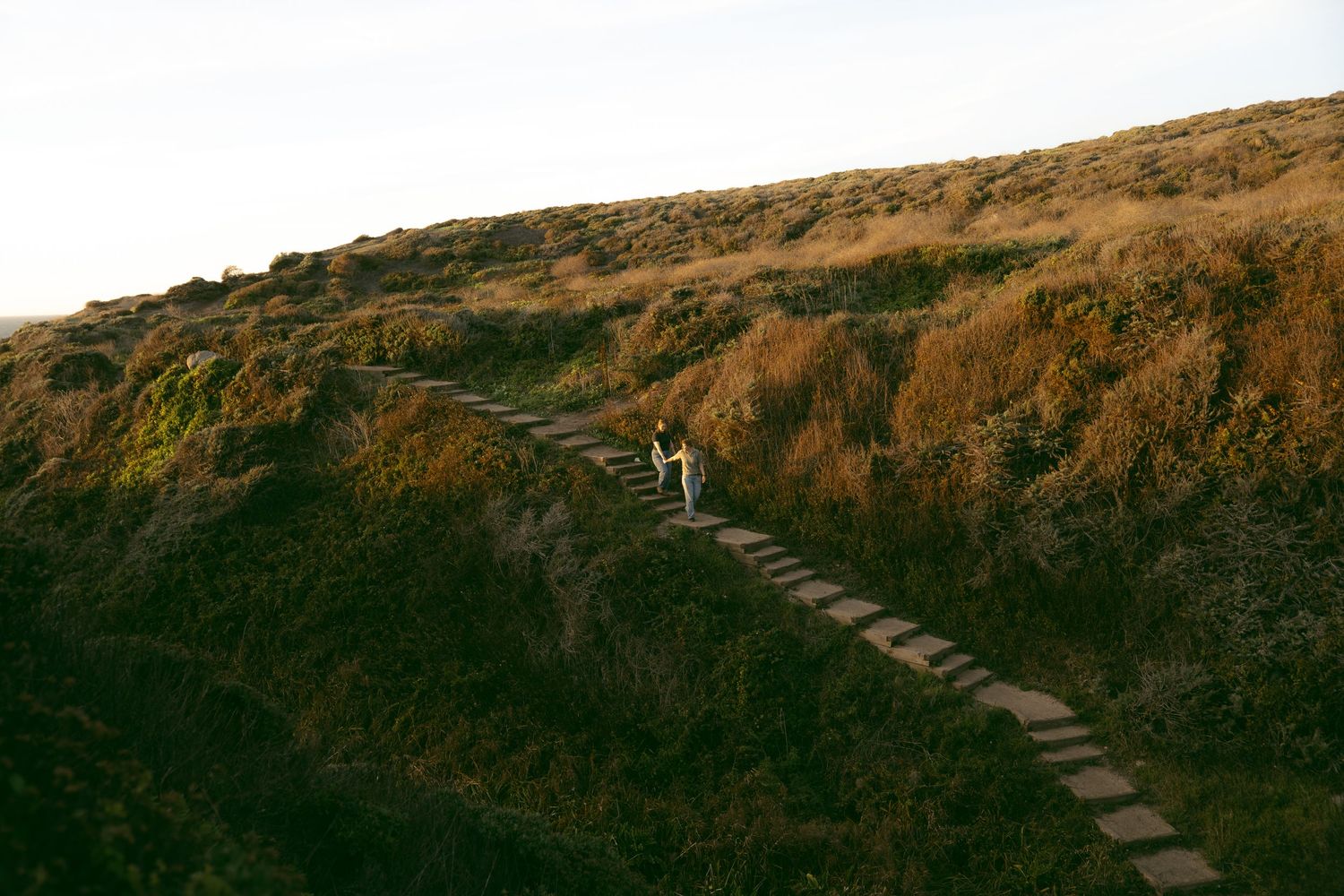 A wooden stairway winds up a steep hillside covered in dry grass and brush during golden hour lighting.
