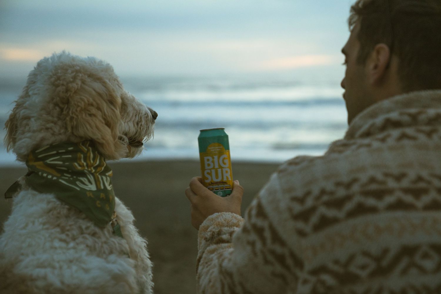 Person and white fluffy dog share a beverage while watching the sunset at the beach.