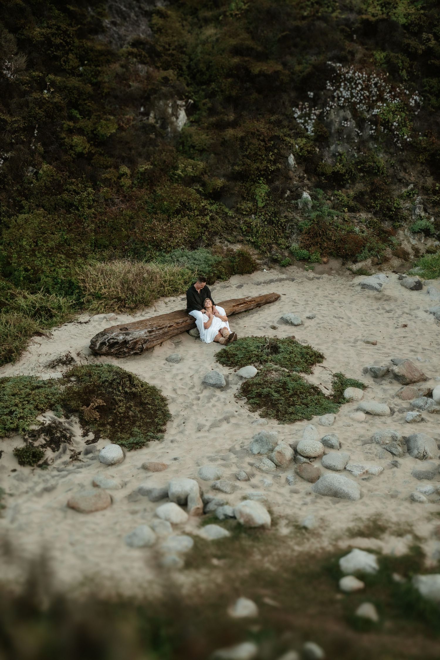 A couple sits together on a rocky beach surrounded by driftwood and natural coastal vegetation.