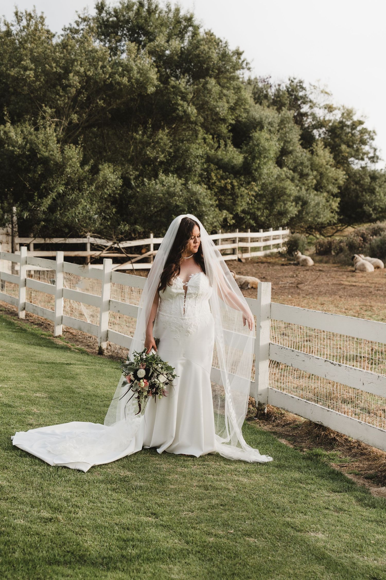A wedding dress and veil photographed against a rustic white fence and green landscape.