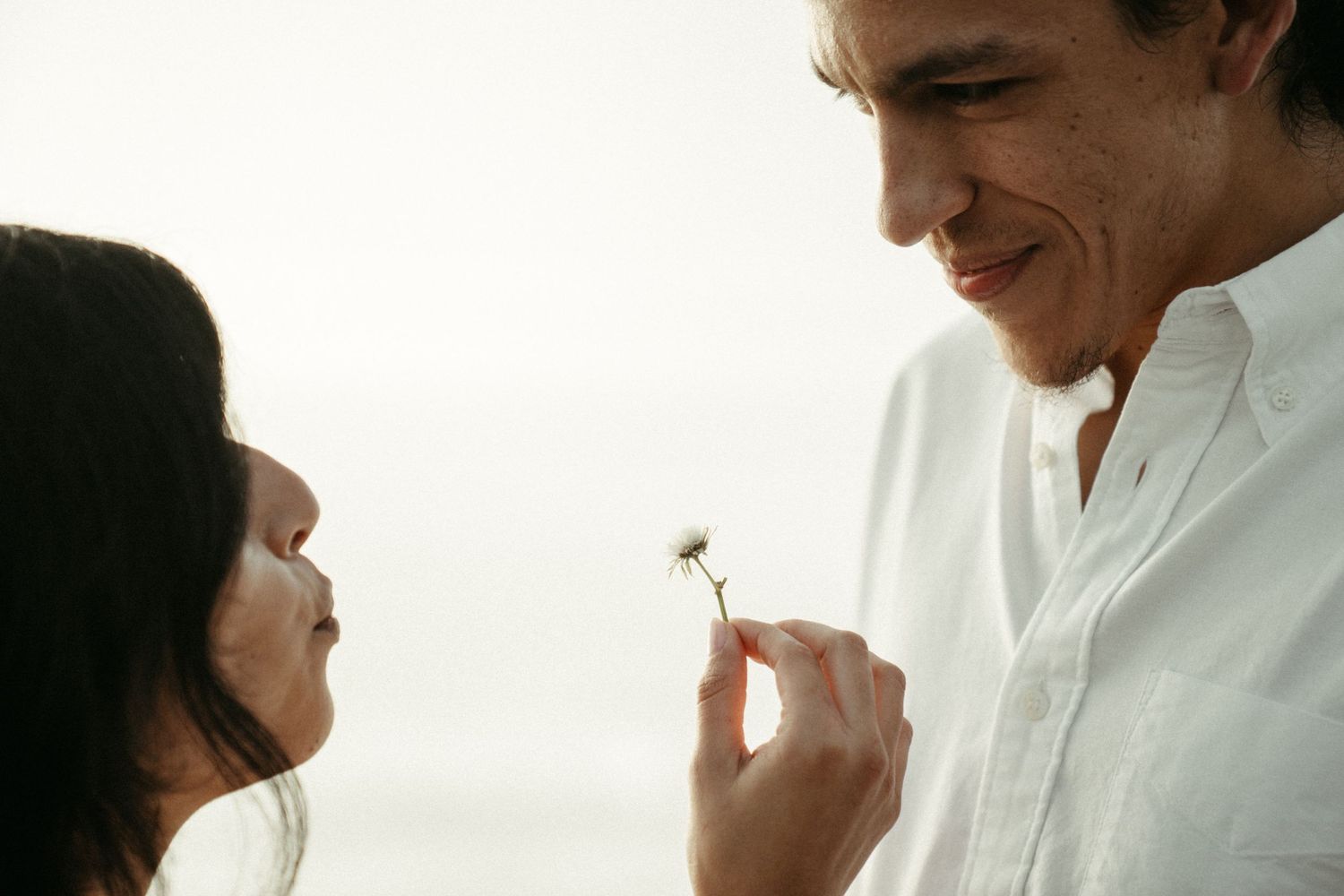 A couple shares a tender moment with a small flower against a bright background.