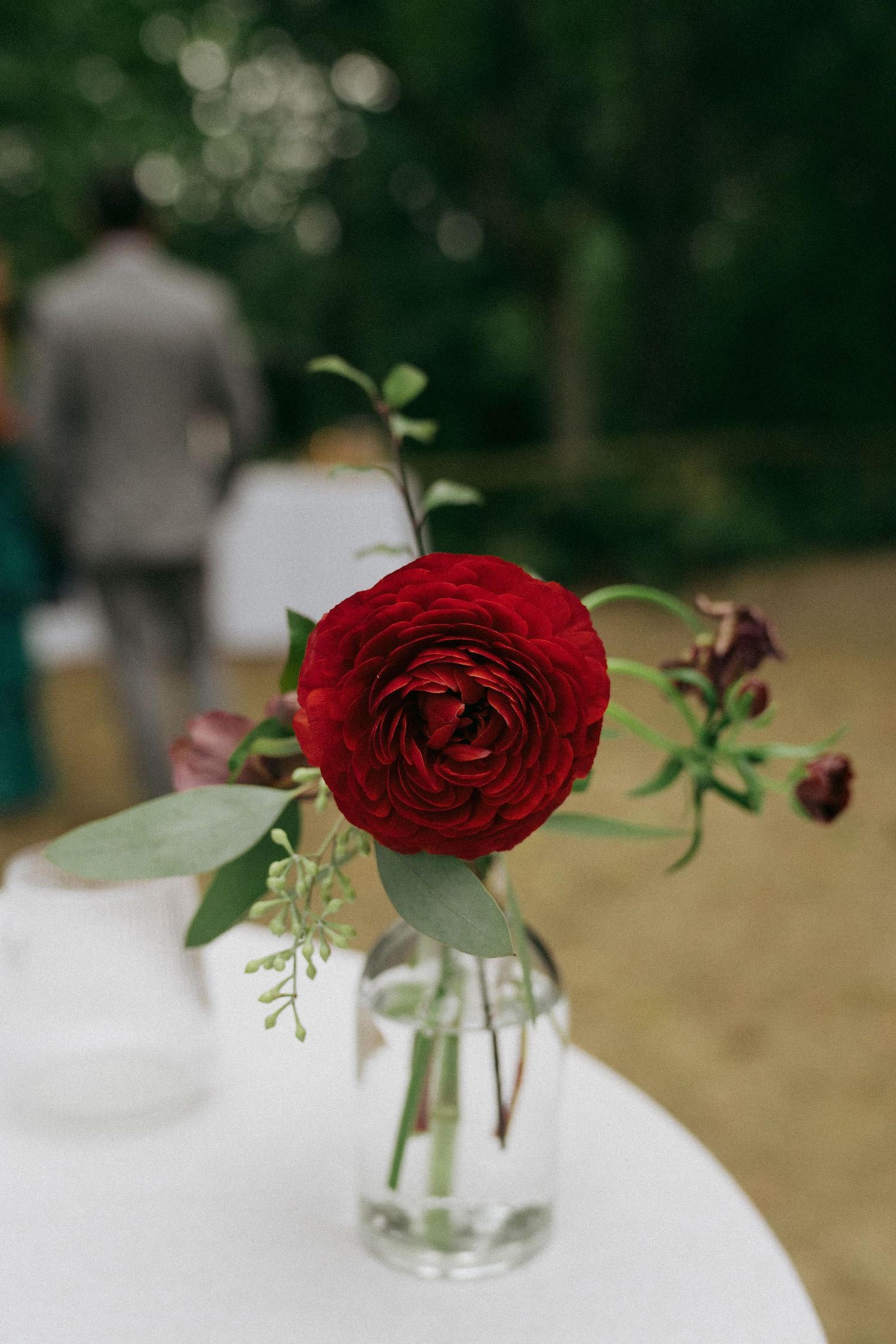 A deep red garden rose in a clear glass vase sits elegantly on a white surface at an outdoor wedding.