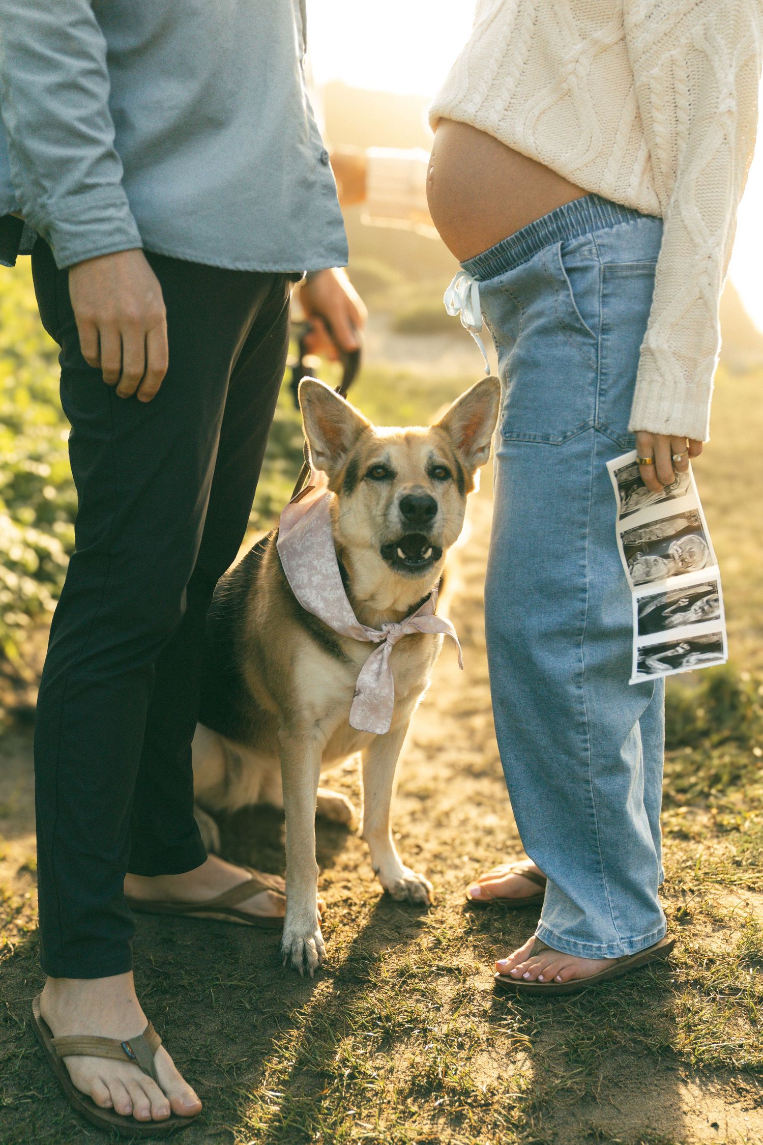 Pregnant woman and partner stand outdoors with their dog wearing a bandana, as she holds ultrasound photos in sunlight.