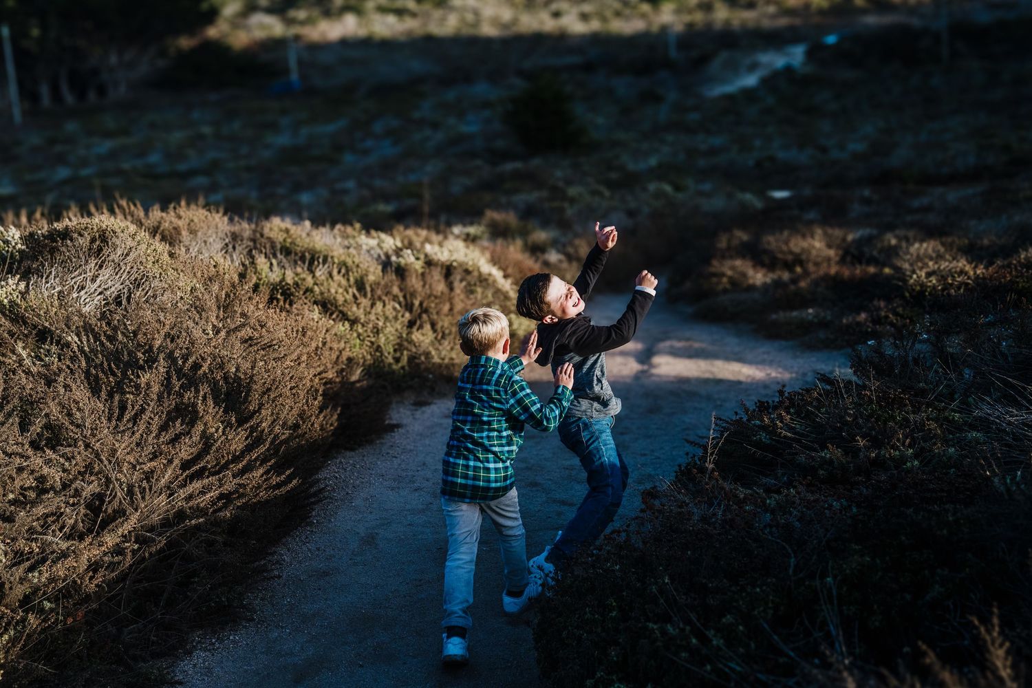 People holding hands and walking down a winding path surrounded by brown brush in moody natural lighting.