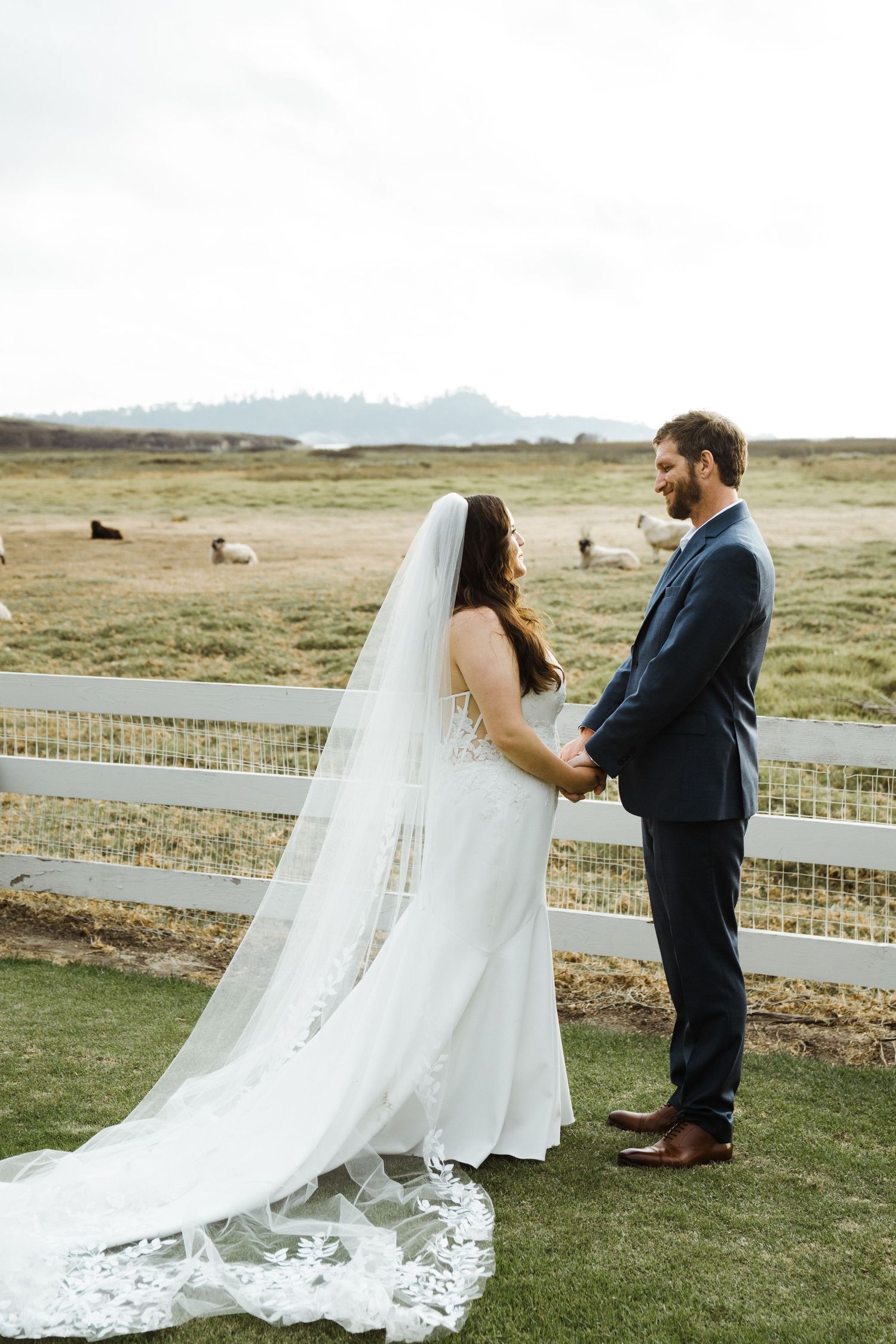 A romantic wedding couple shares a moment at Mission Ranch in Carmel By the Sea.