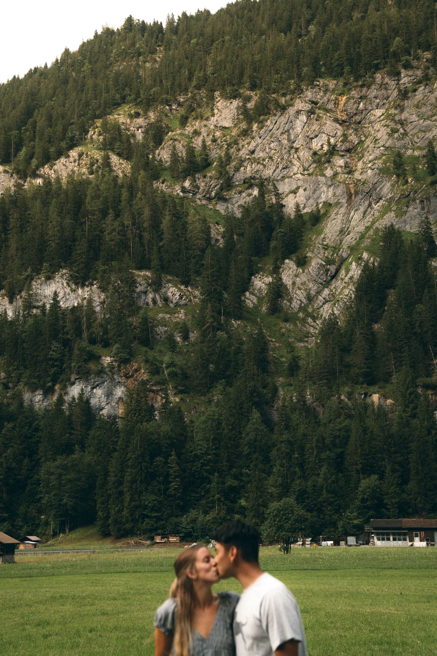 Scenic mountainside with evergreen forest and rocky cliffs overlooking a grassy meadow.