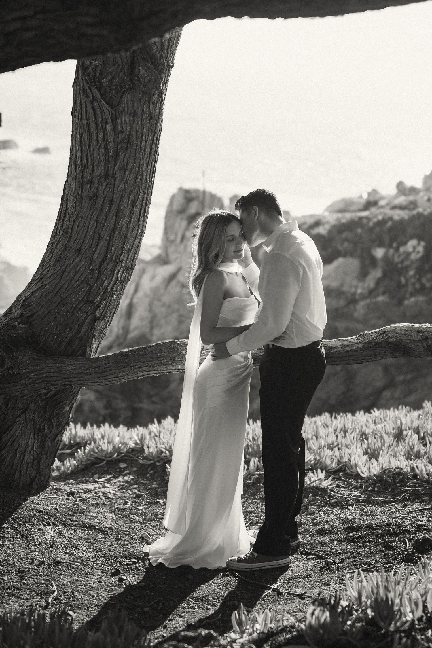 A romantic black and white photo sequence of a couple under a tree branch in silhouette.