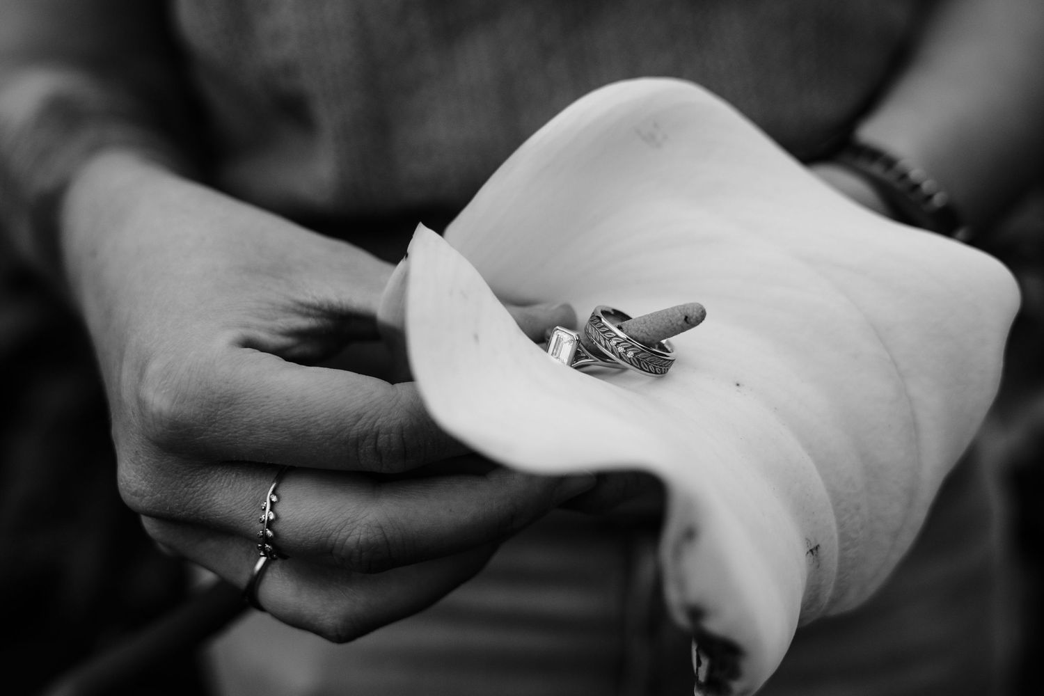 Close up of engagement rings on a Cala Lily in Big Sur