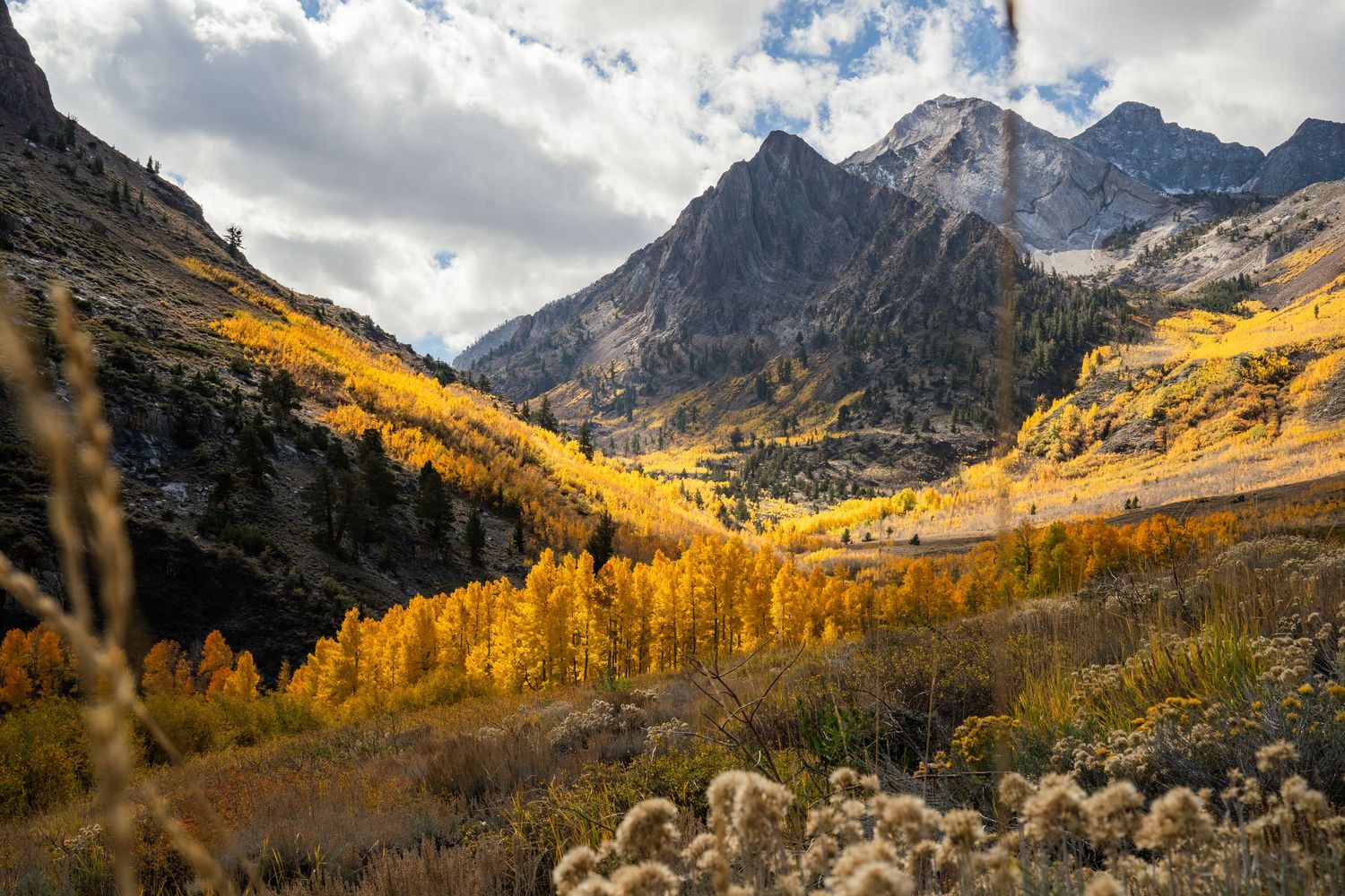 Dramatic mountain landscape with golden aspen trees and rugged peaks under cloudy autumn skies in Colorado wilderness.