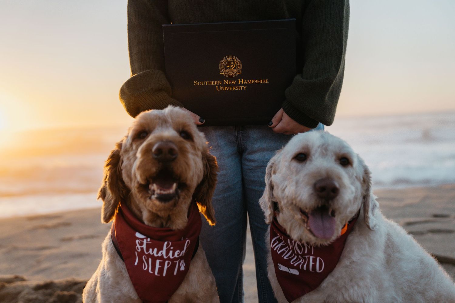 Graduation photos along Big Sur with dogs