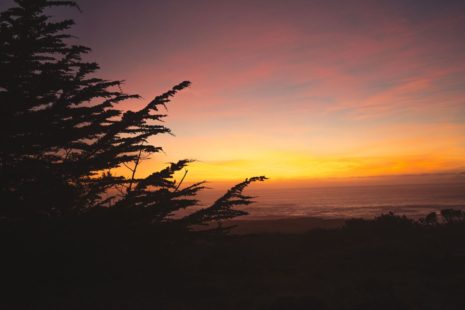 Silhouette of pine trees against a vibrant orange and purple sunset sky over the ocean horizon.