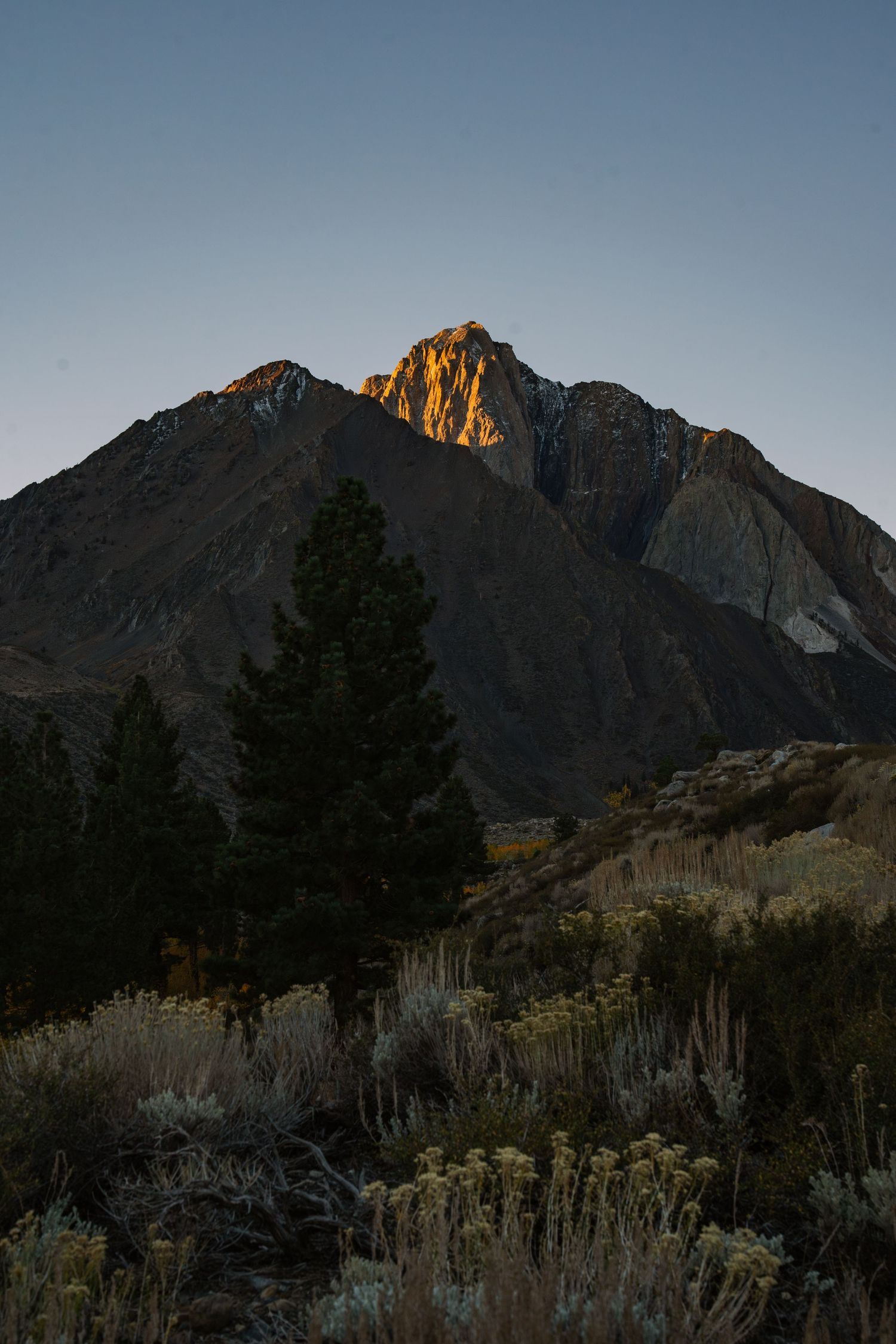 Rugged mountain peaks catch golden sunlight at dusk with evergreen trees and sagebrush in the foreground.