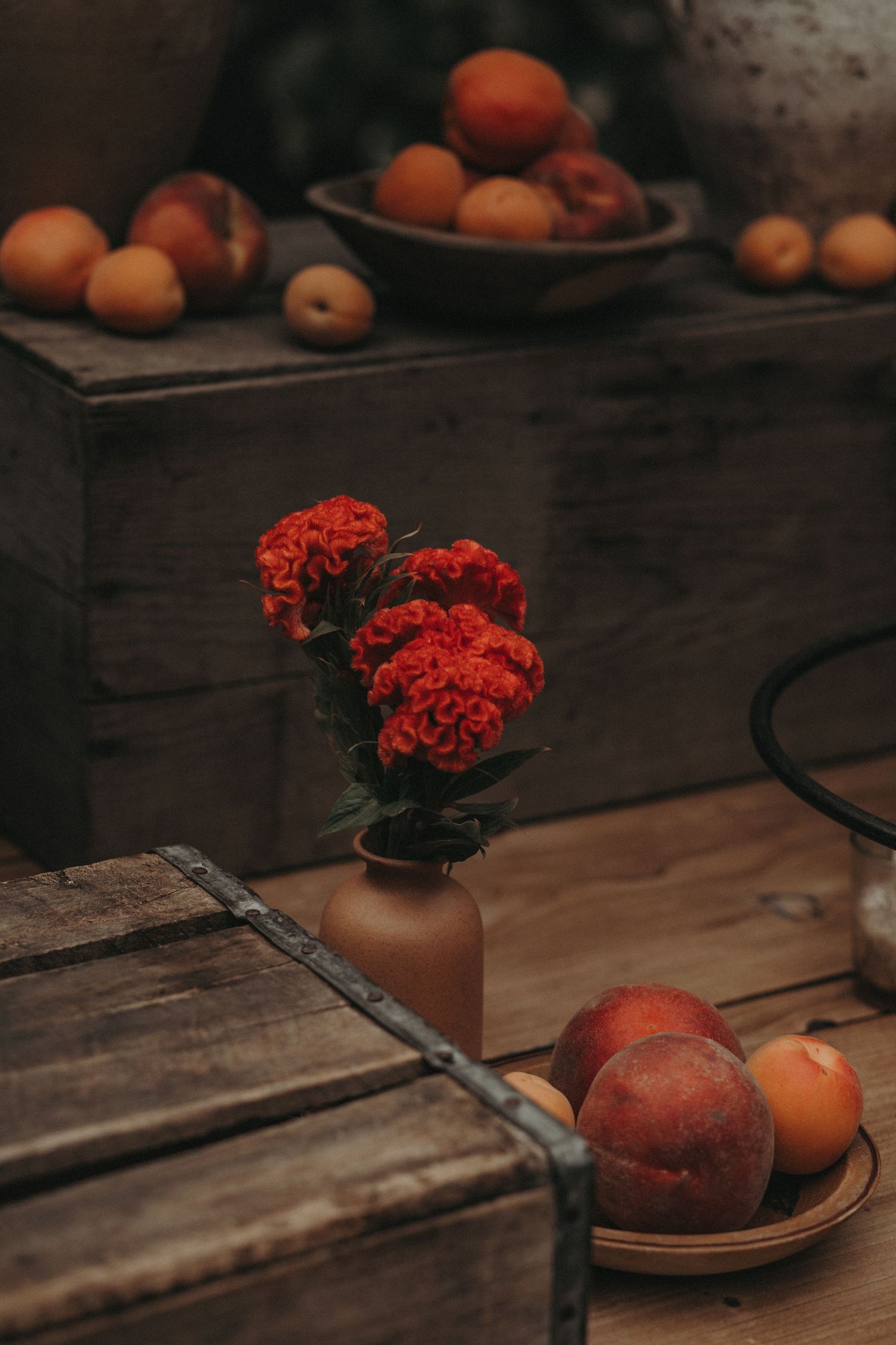 Red carnations in a vase with oranges and peaches on rustic wooden surfaces create a moody still life composition.