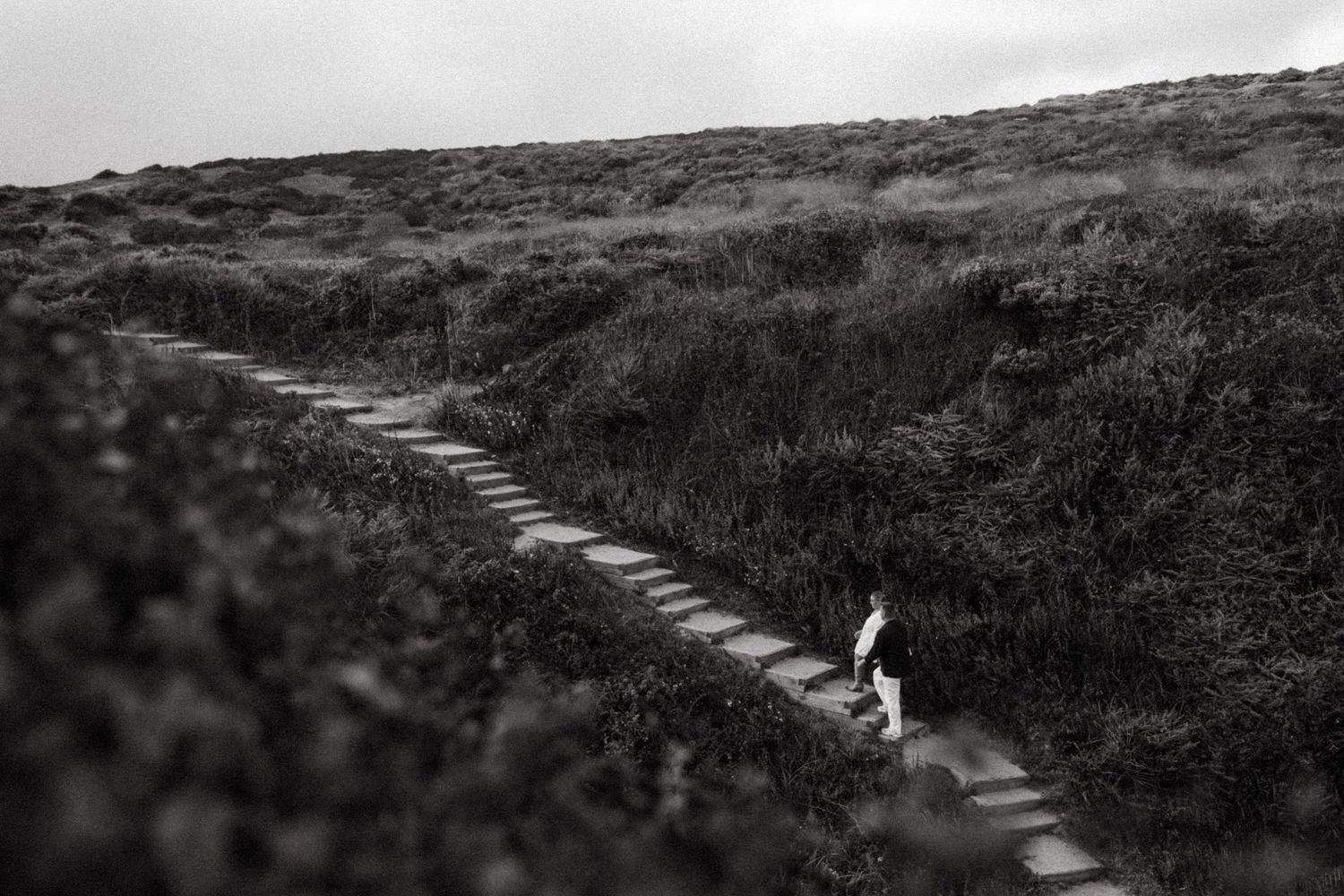 A winding concrete pathway leads through rugged coastal terrain with grass and fog in the distance.
