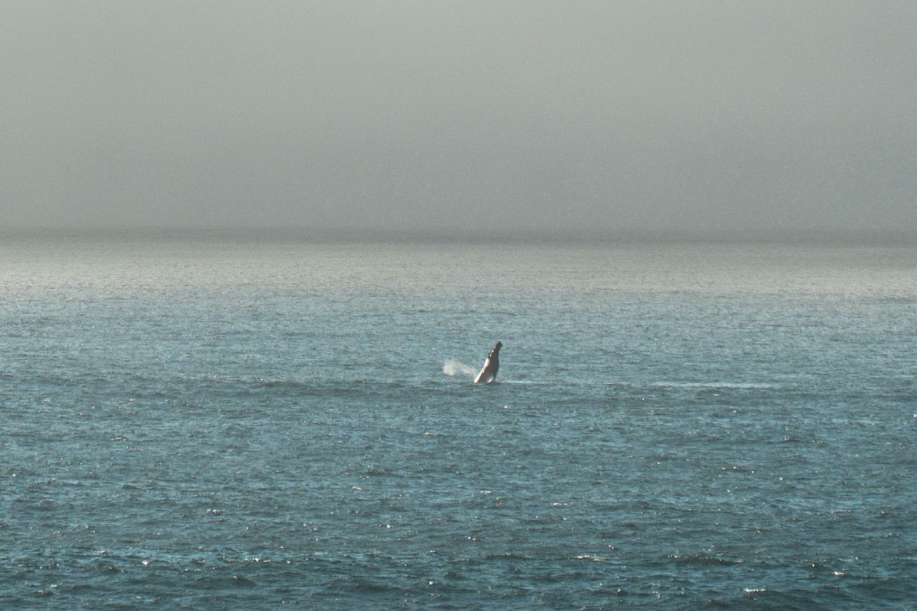 A windsurfer glides across misty gray waters on a cloudy day at sea.