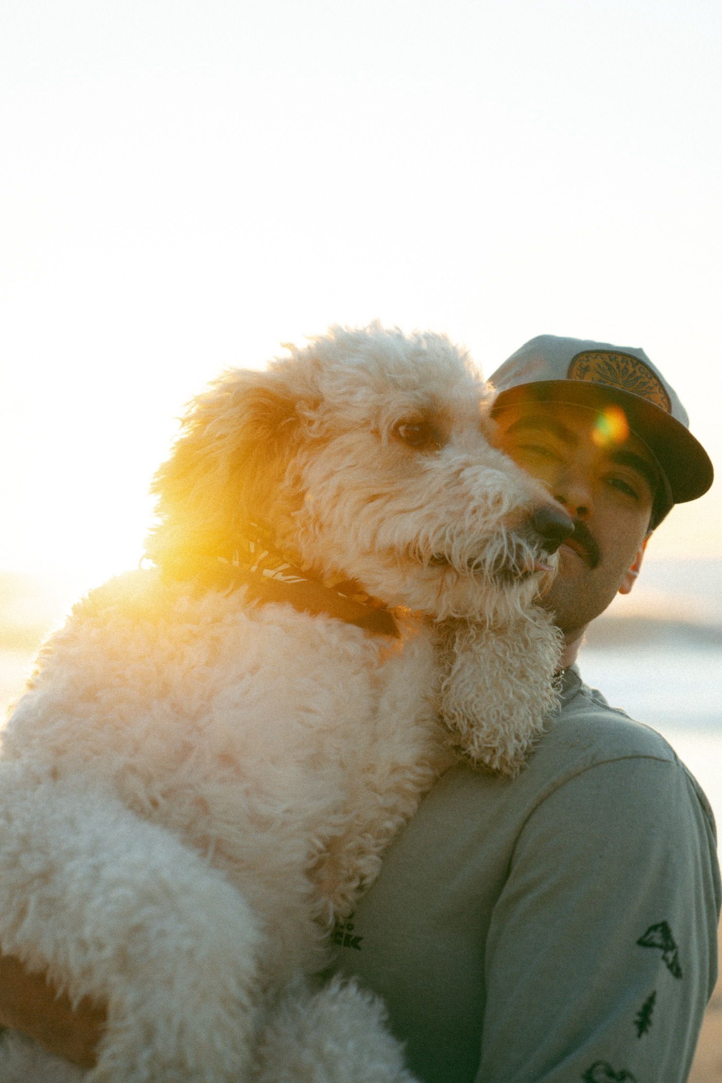A fluffy white dog and person share a tender moment at sunset with golden sunlight glowing behind them.
