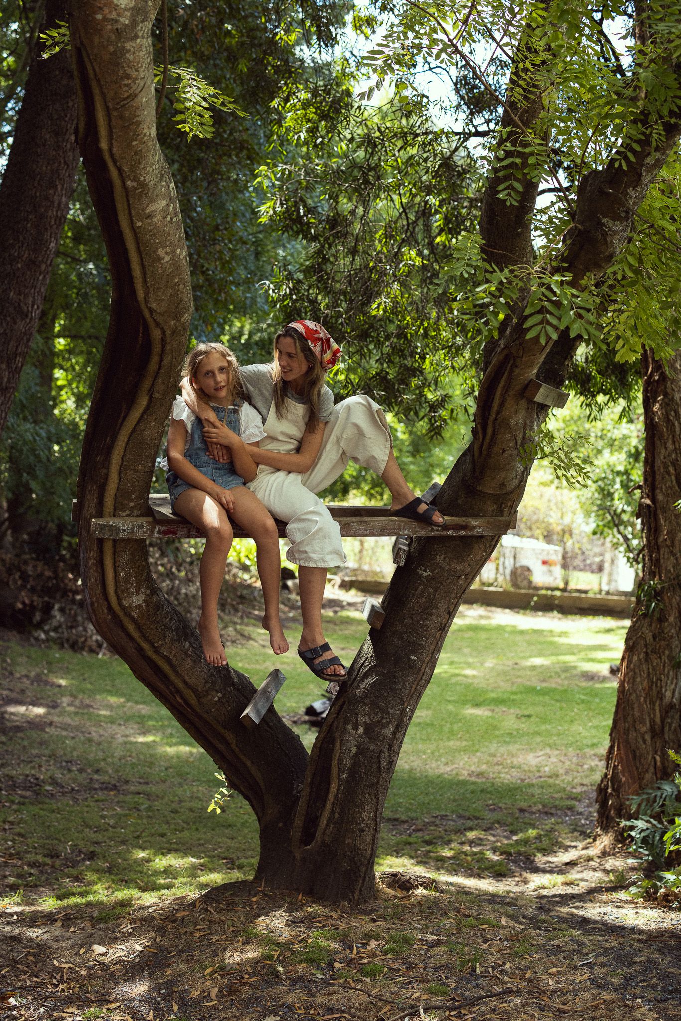 Two people sitting together in a large tree branch on a sunny summer day in a peaceful garden setting.
