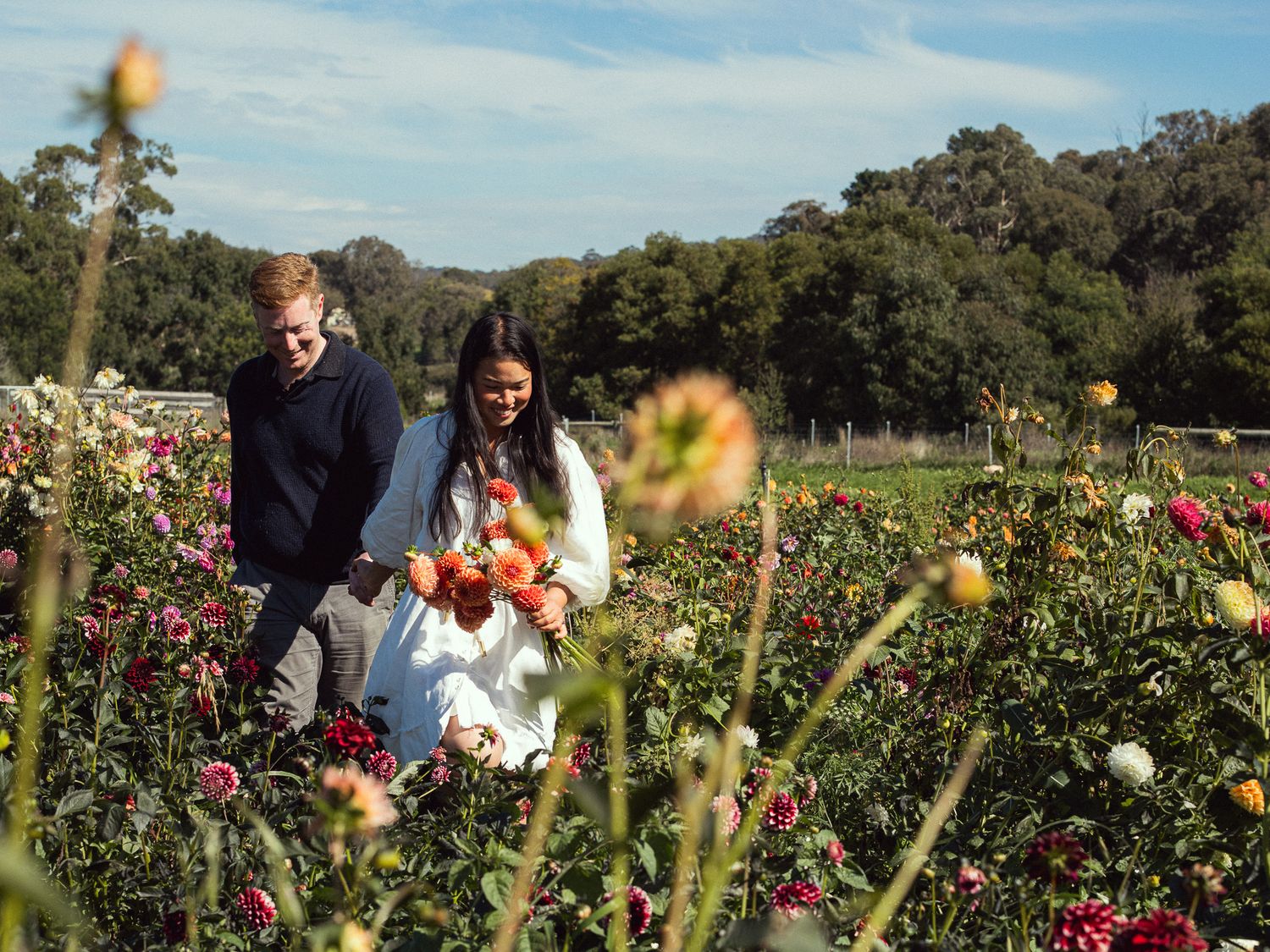 Couple picking colorful dahlias in a lush flower field surrounded by trees on a sunny day.