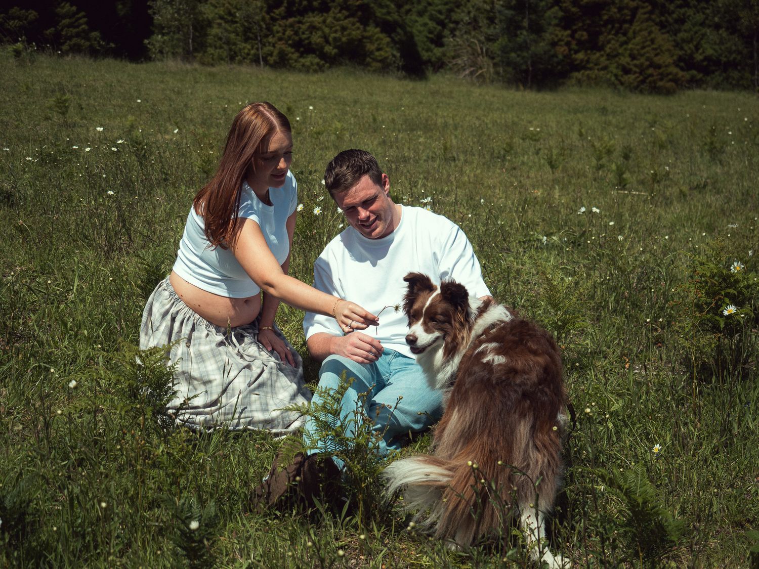 A couple sits in a grassy meadow playing with their brown and white dog on a sunny afternoon.
