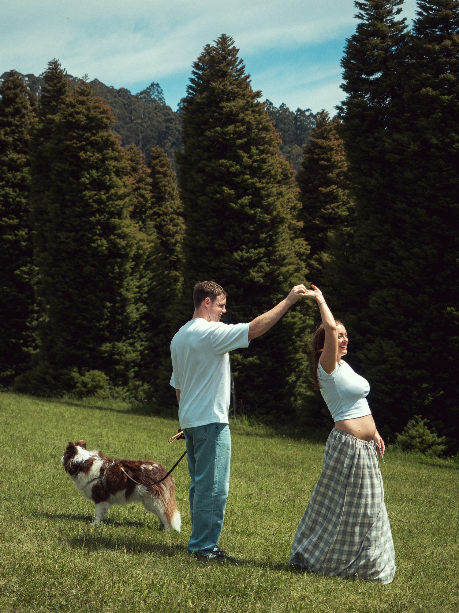 A couple sitting in a grassy meadow with evergreen trees performs a synchronized high-five motion while a dog plays nearby.