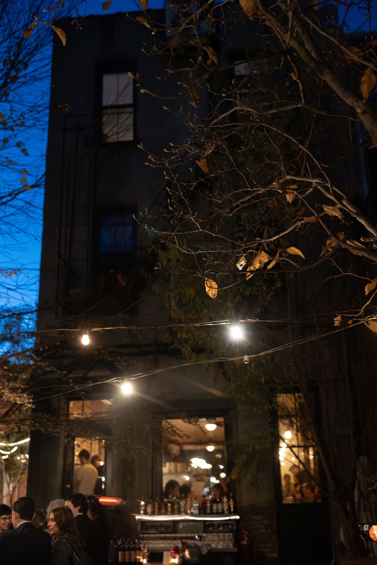 Evening exterior of brick building with string lights and bare tree branches against deep blue sky.