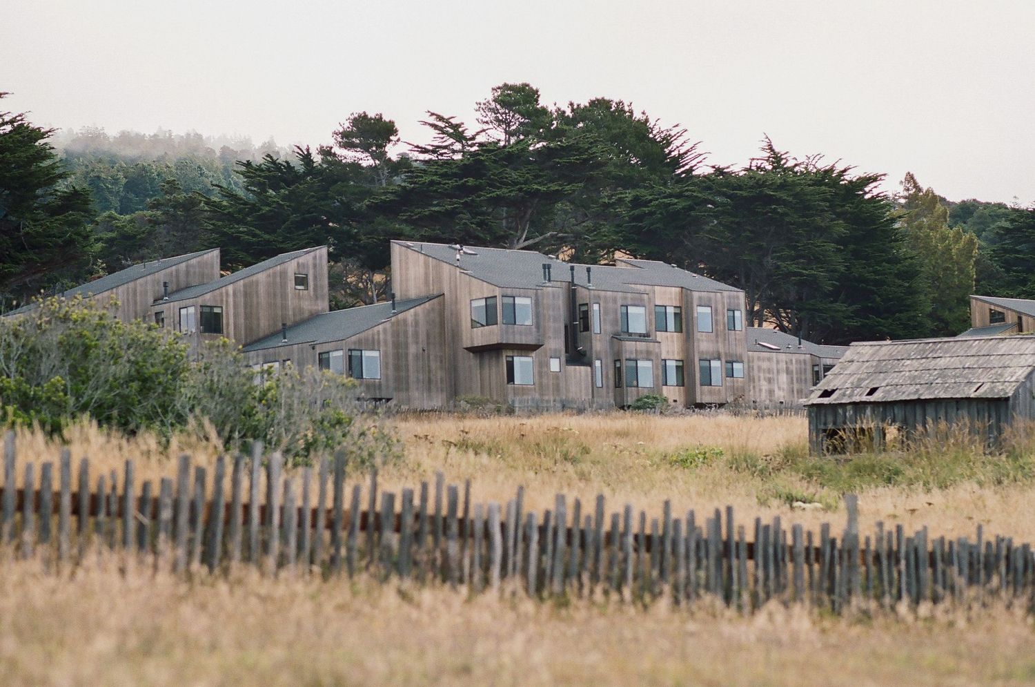 Rustic weathered wood buildings surrounded by tall trees and a wooden fence in a coastal meadow setting.