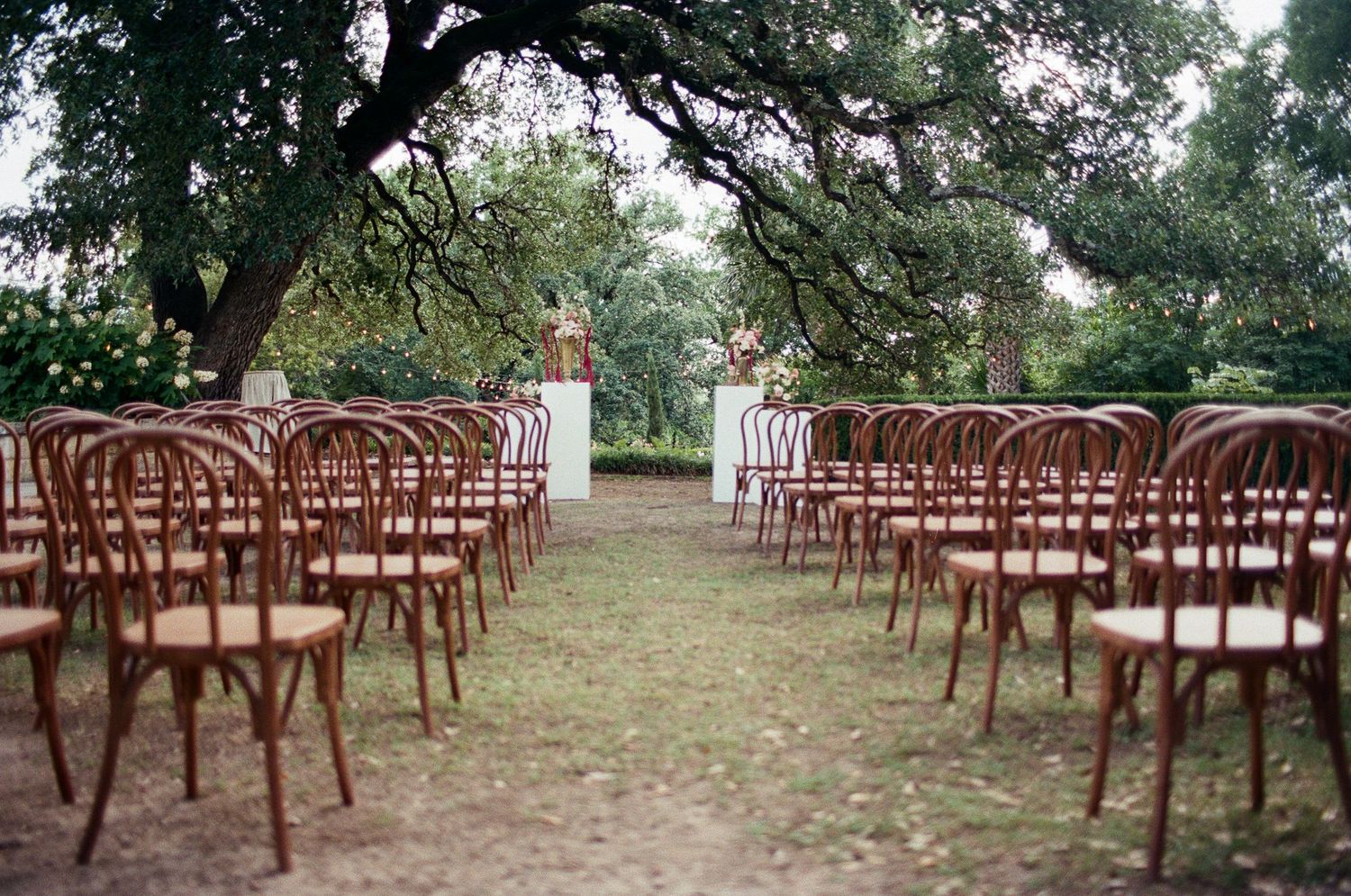 Rows of wooden cross-back chairs set up for an outdoor ceremony under oak trees.