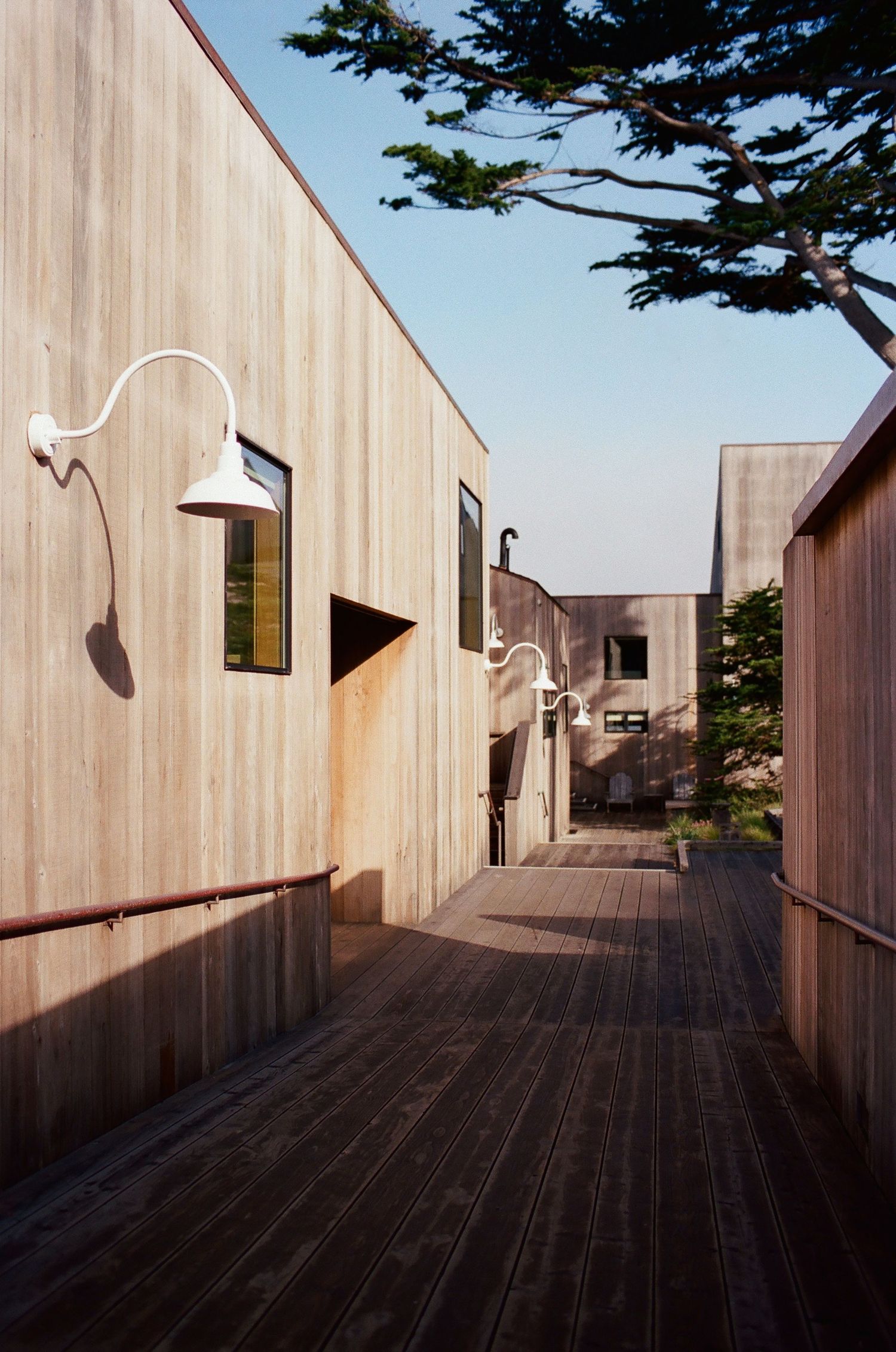 Wooden deck walkway between cedar-clad modern buildings with white gooseneck barn lights and cypress trees under clear sky.