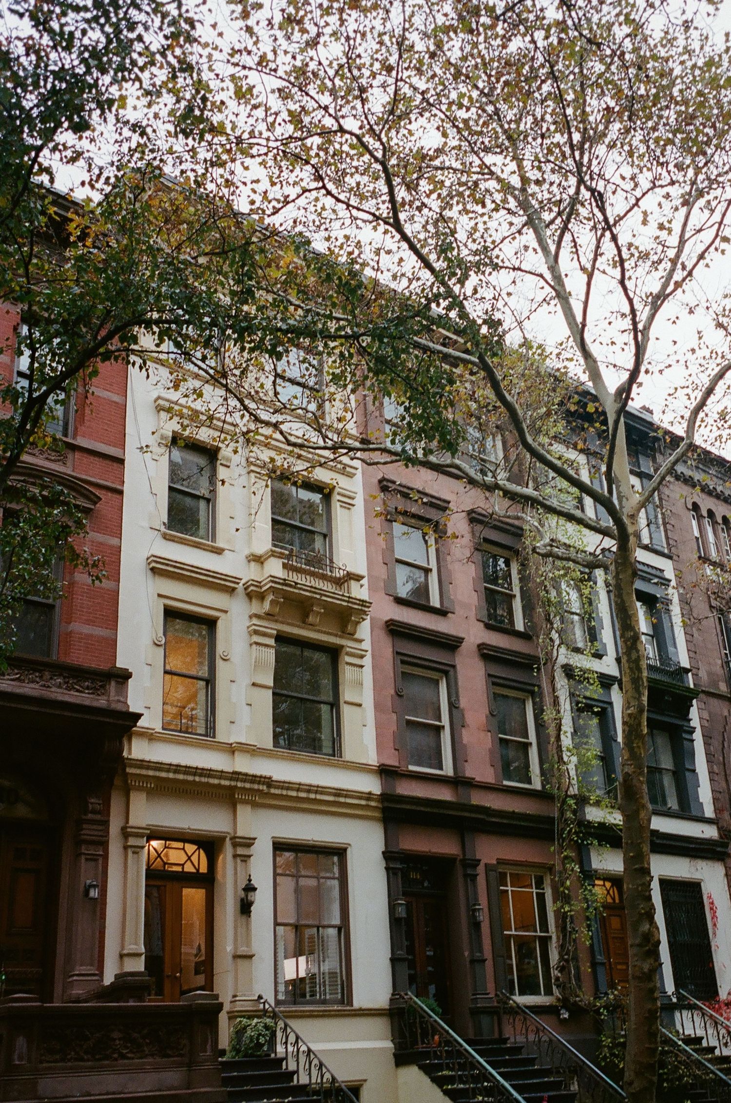 Row of historic brownstone townhouses with ornate architectural details and bare trees lining a residential street in New York.