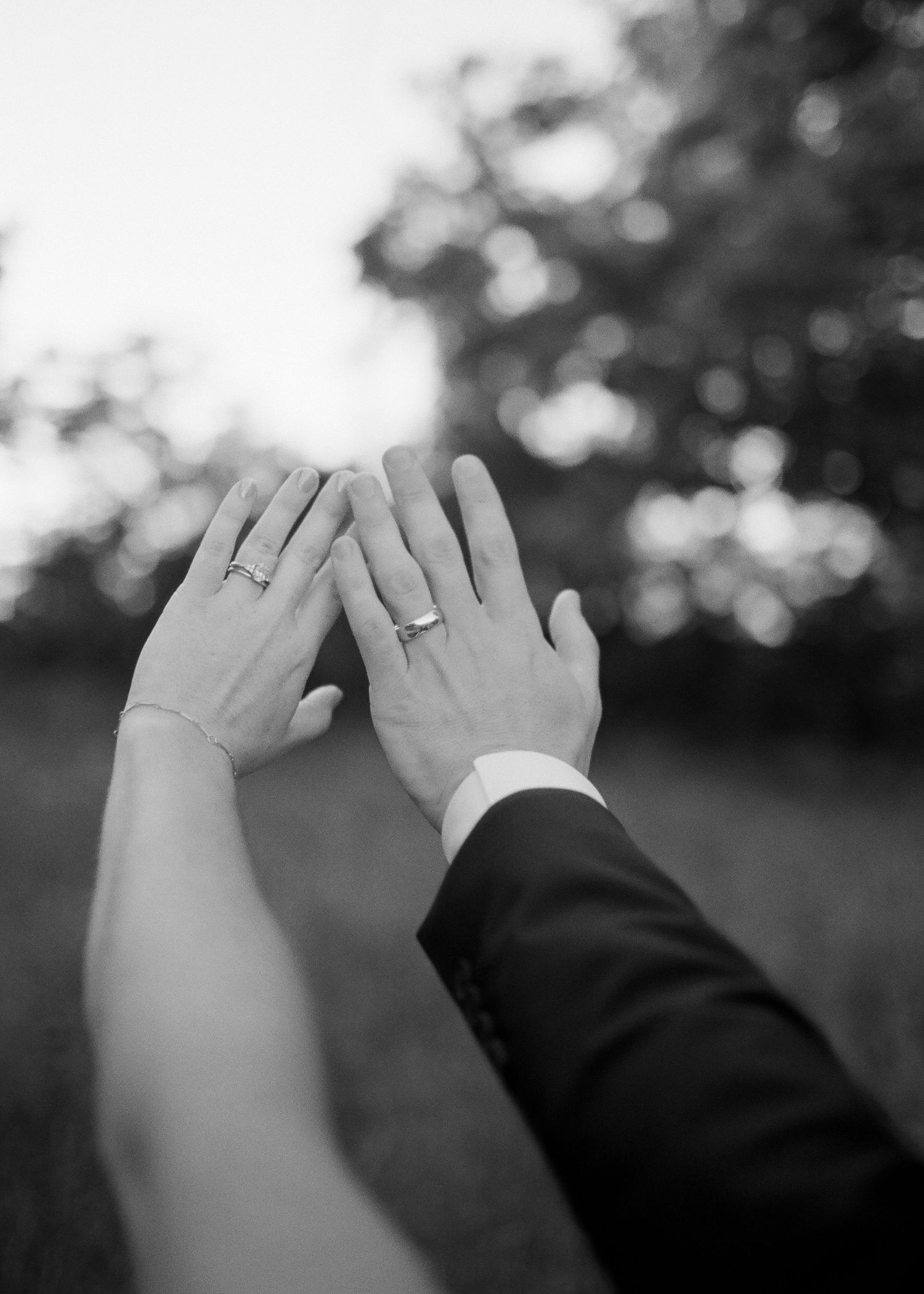 Black and white photo of newlyweds touching hands, showing wedding rings, with blurred trees in background.
