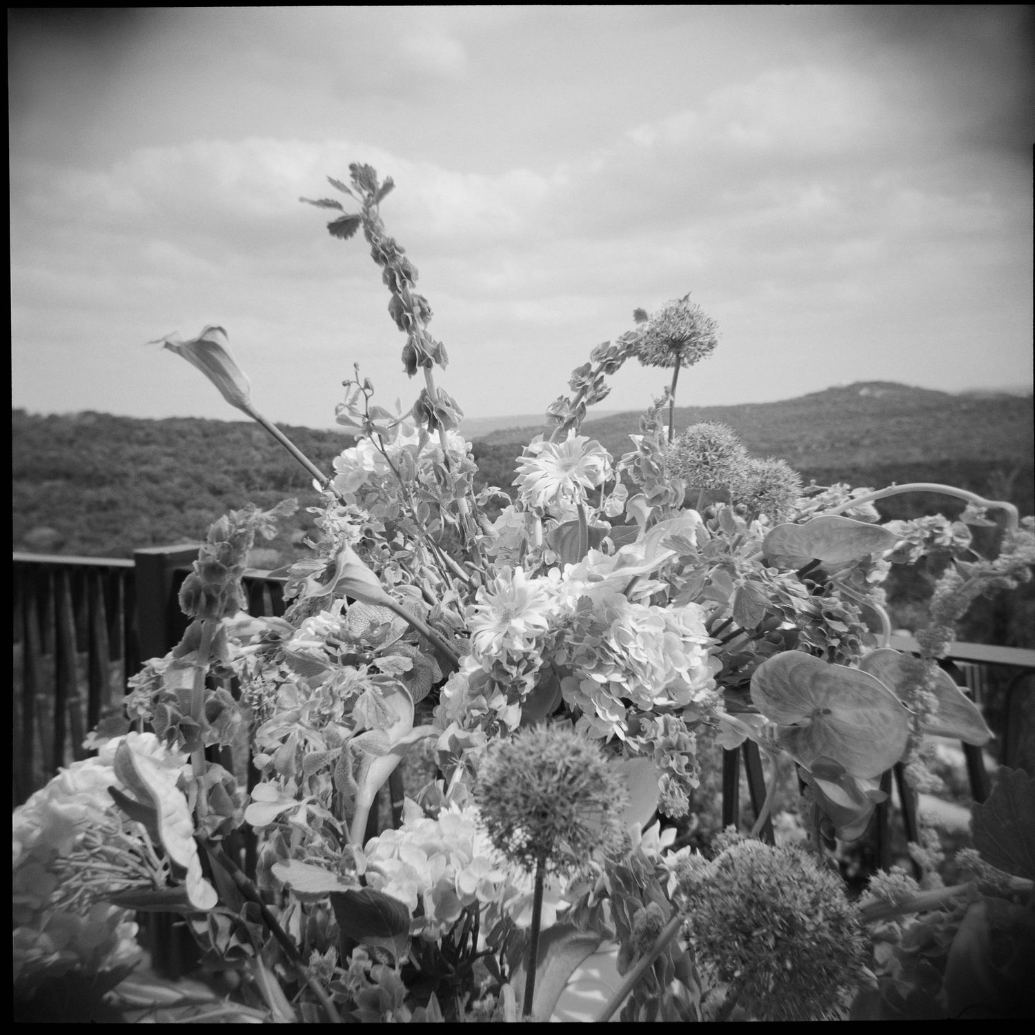 Black and white photo of a lush flower arrangement on a deck with rolling hills and cloudy sky in the background.