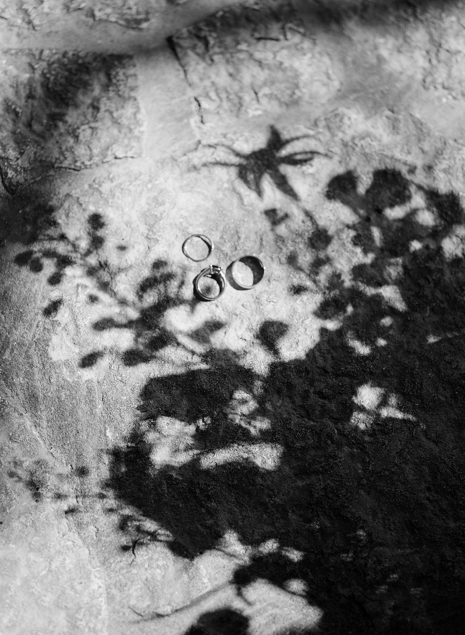 Abstract black and white textural pattern with dark splotches and organic shapes creating a moody atmospheric effect.