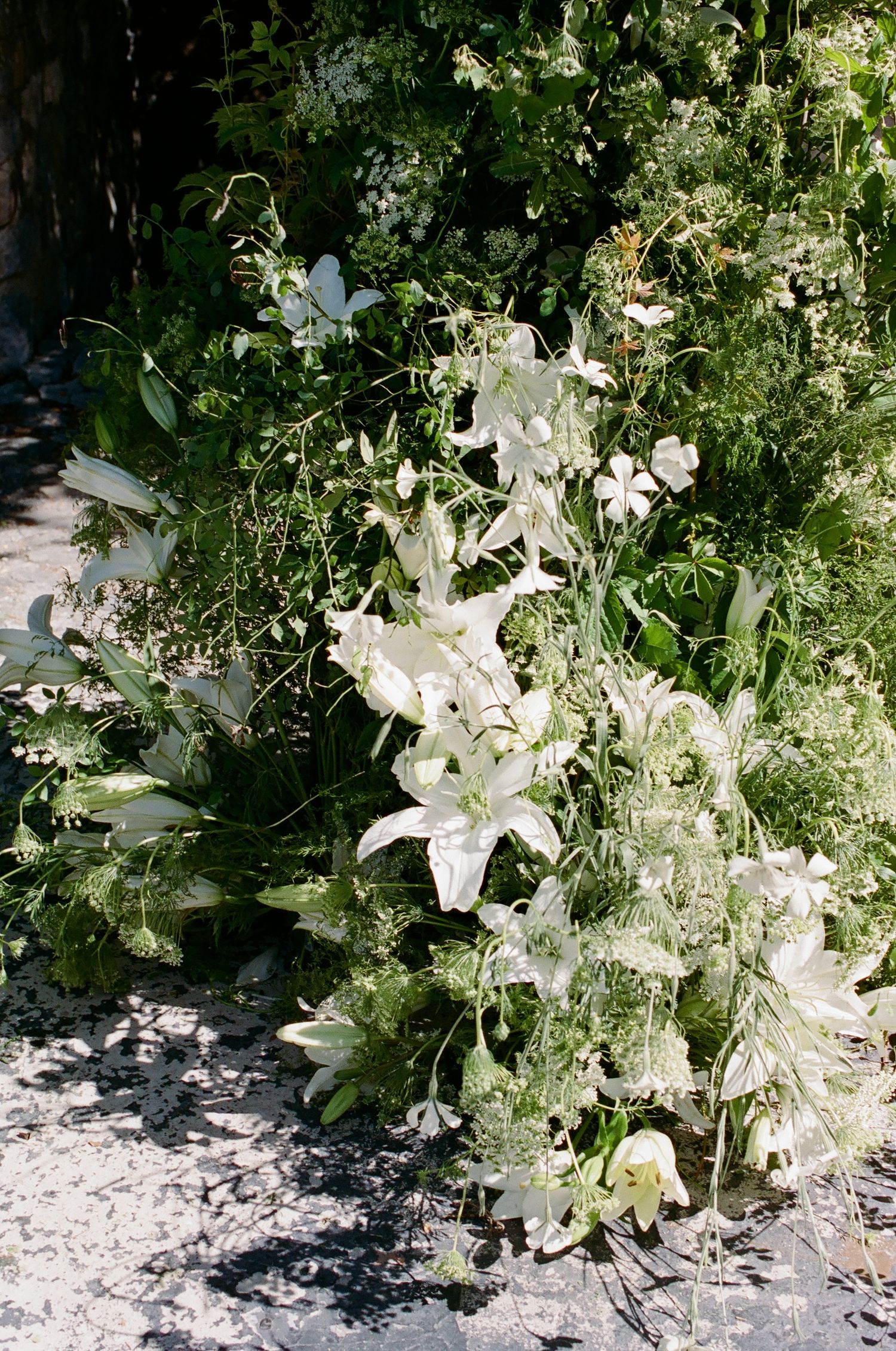 White lilies and wildflowers bloom in a lush green garden border in bright sunlight.