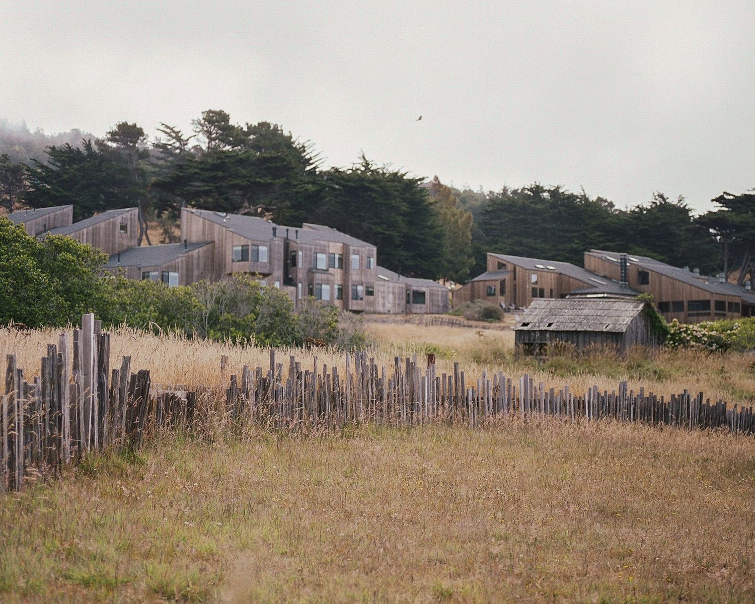 Rustic wooden buildings nestled among windswept trees on a coastal hillside, with weathered fence posts and golden grass.