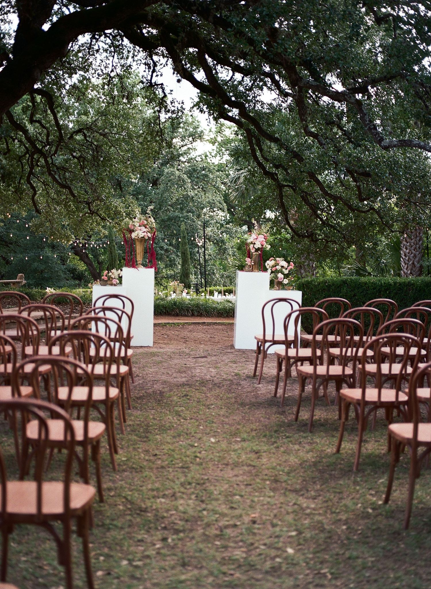 Wooden bentwood chairs arranged in rows for an outdoor ceremony under oak trees.