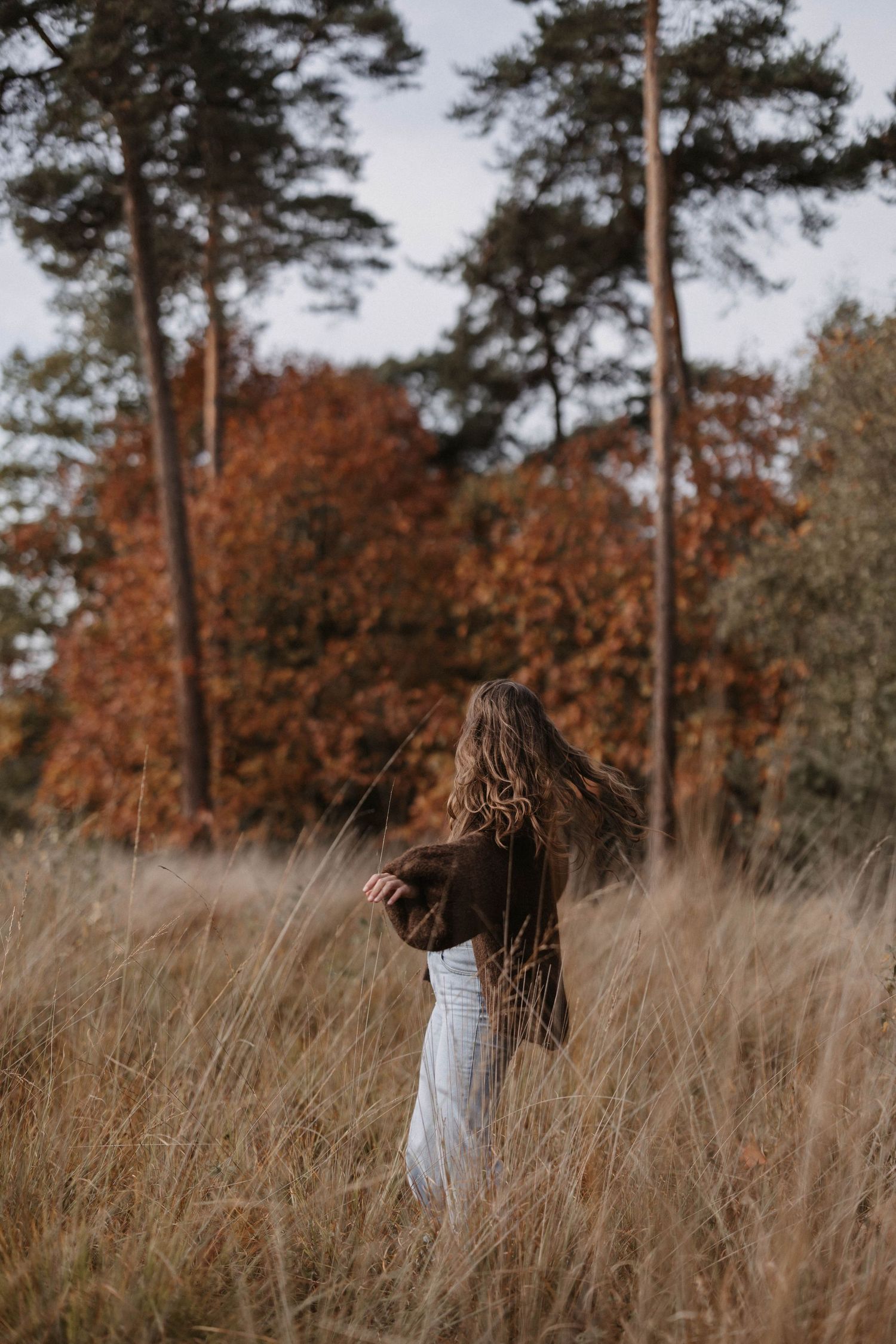 Roos Donga Fotografie
Bedrijfsfotografie
Fotograaf Breda / Oosterhout