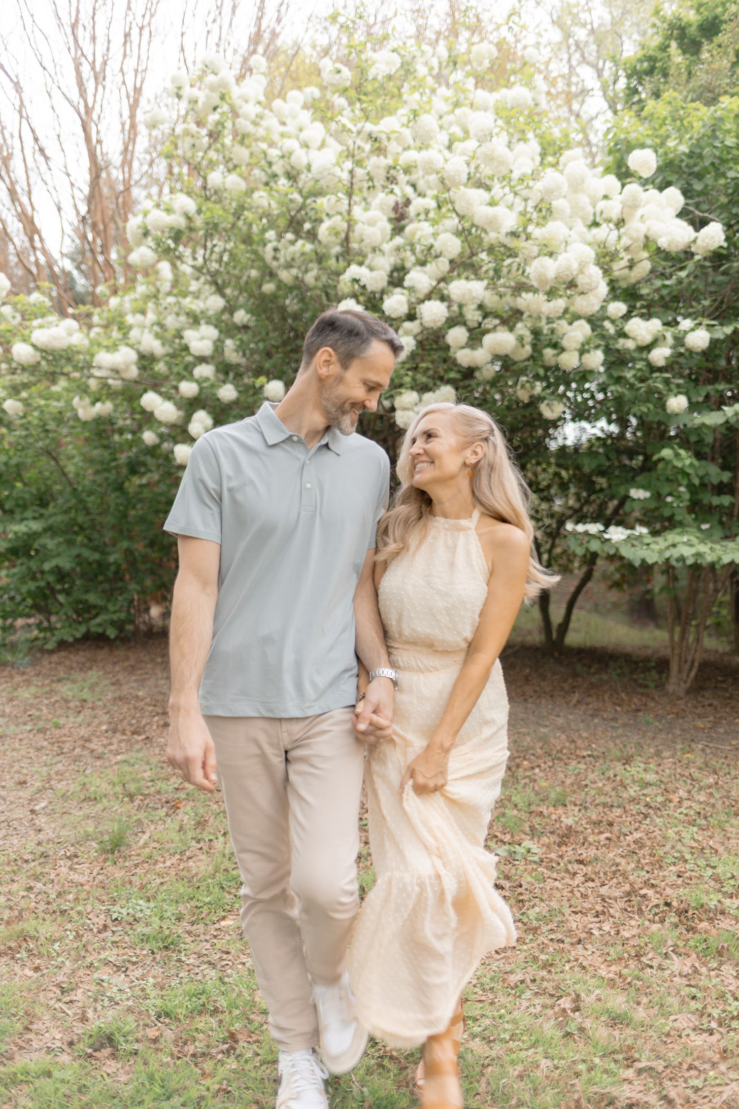 A couple walks together in a garden with blooming white hydrangea bushes on a sunny spring day.