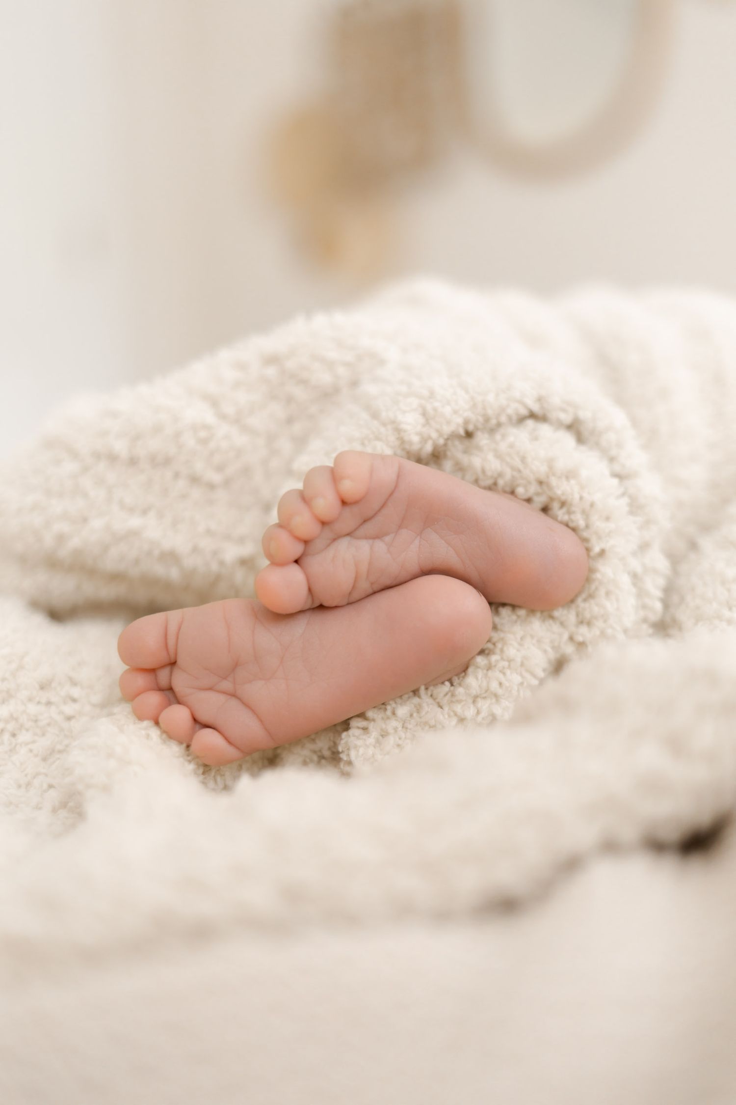 Close-up of tiny newborn baby feet peeking out from a soft white fluffy blanket.
