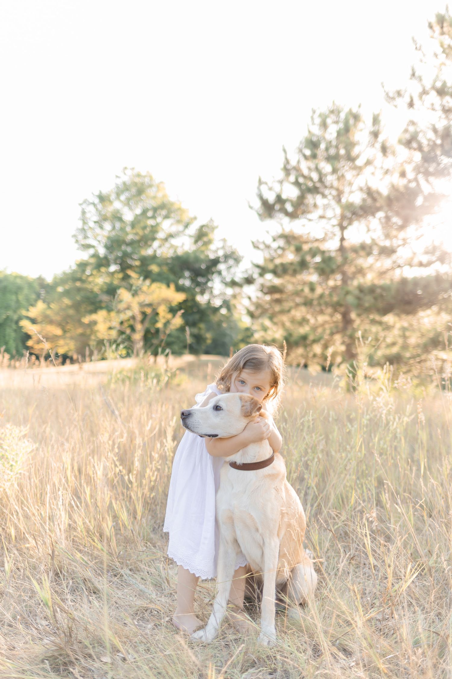 A young girl in a white dress lovingly hugs a large white dog in a golden sunlit field.