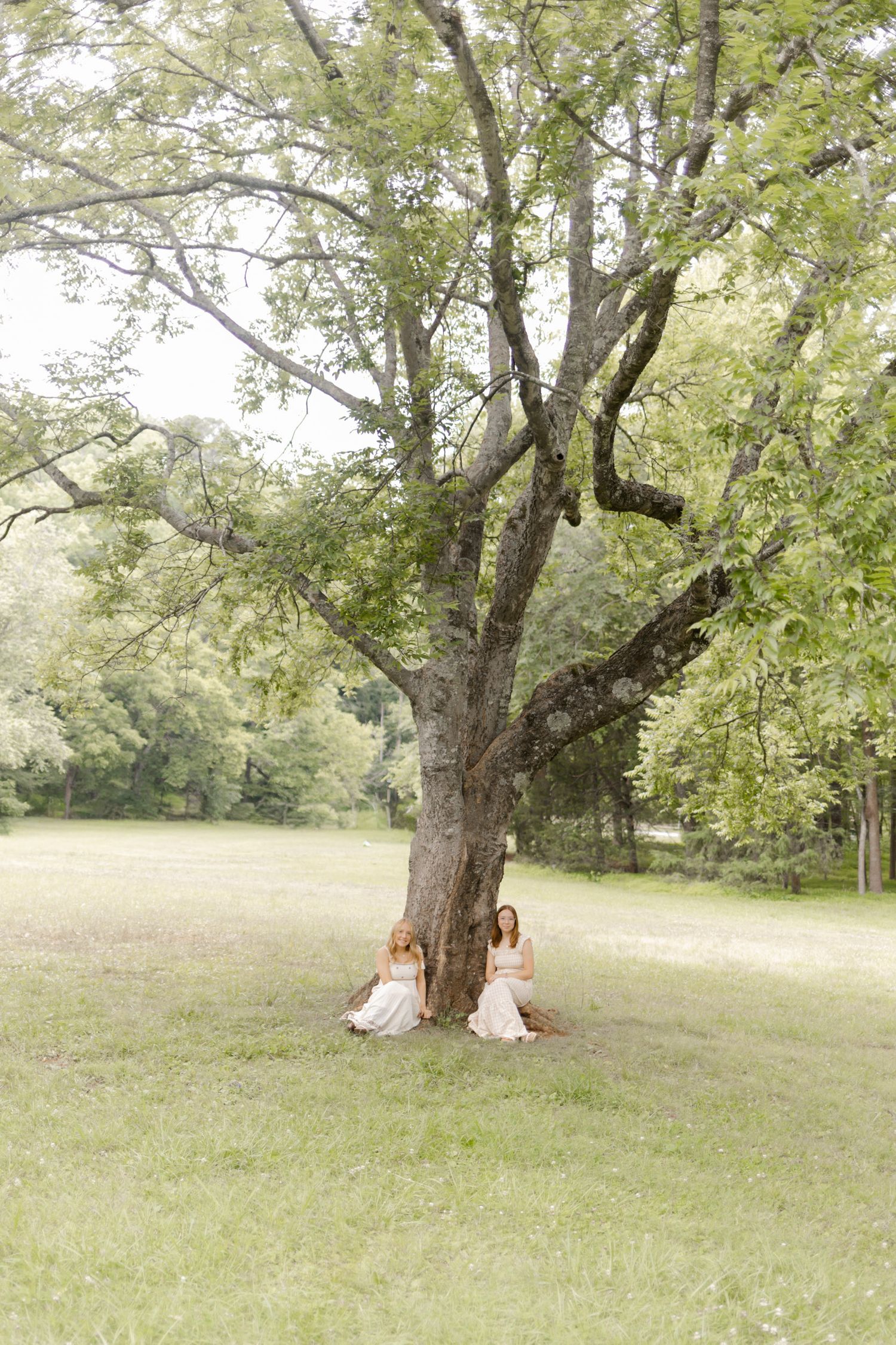 Two people sit together under a large tree in a peaceful meadow setting in Durham, North Carolina photoshoot.