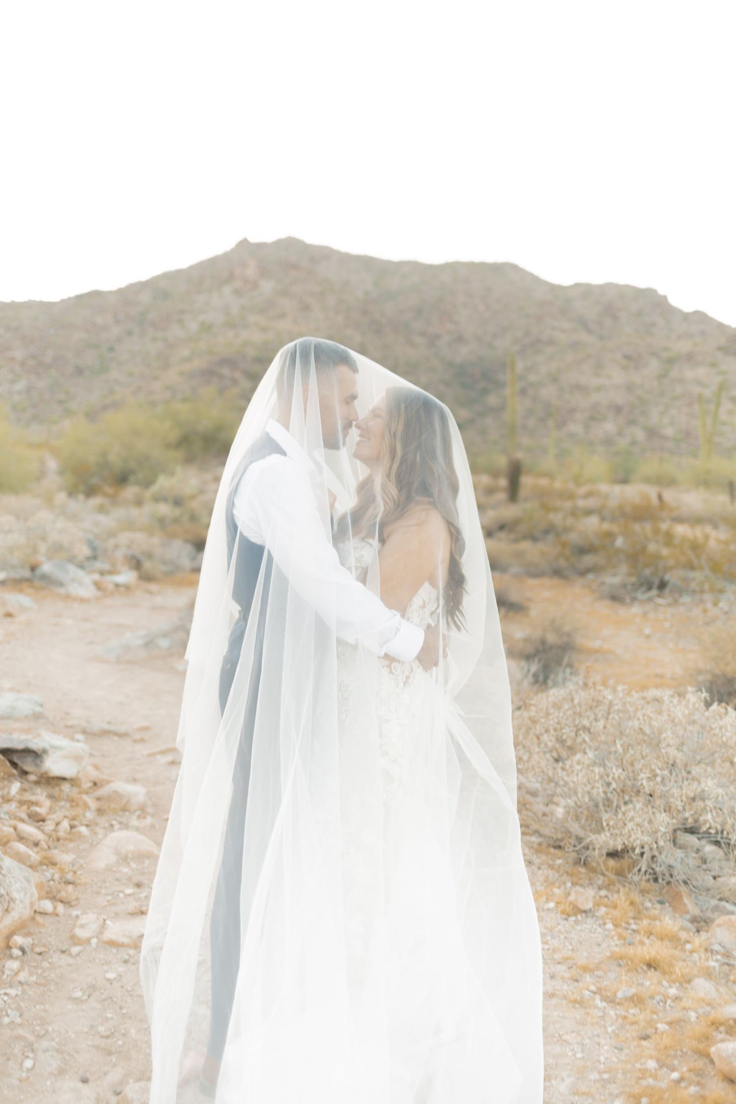 Bride and groom share a romantic kiss under a flowing white veil in a scenic desert landscape with mountains.
