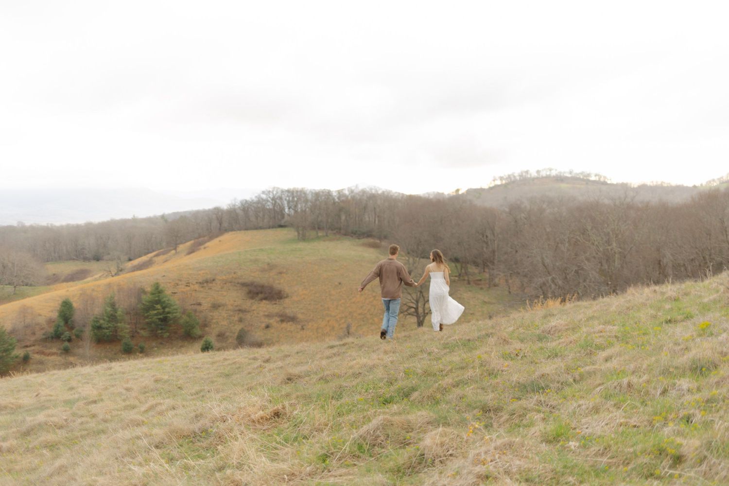 Couple in wedding attire holding hands while walking up a scenic green hillside with rolling hills and trees in background.