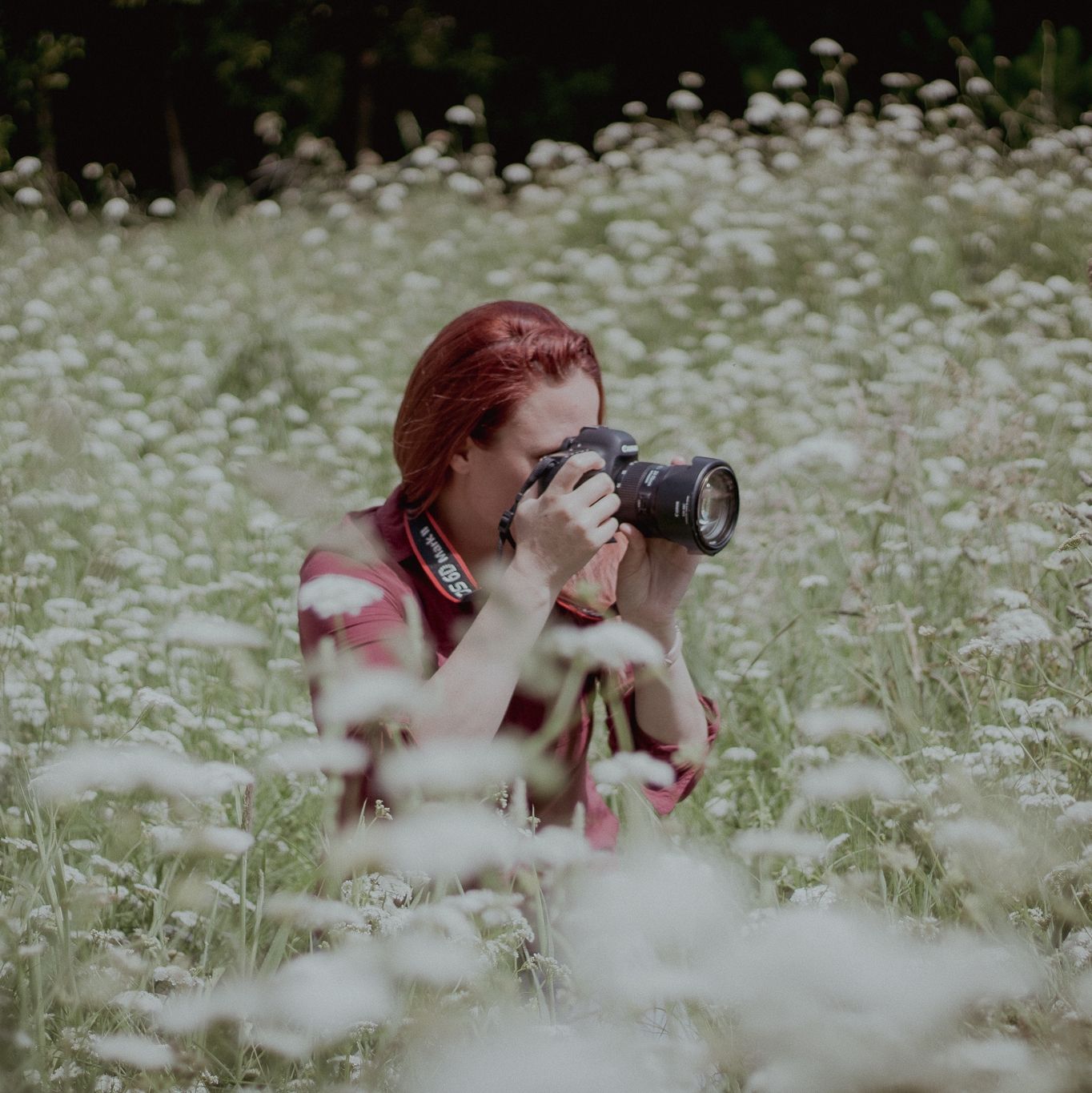 Auckland North Shore Photographer: Child portrait session captured in a beautiful field of white flowers.