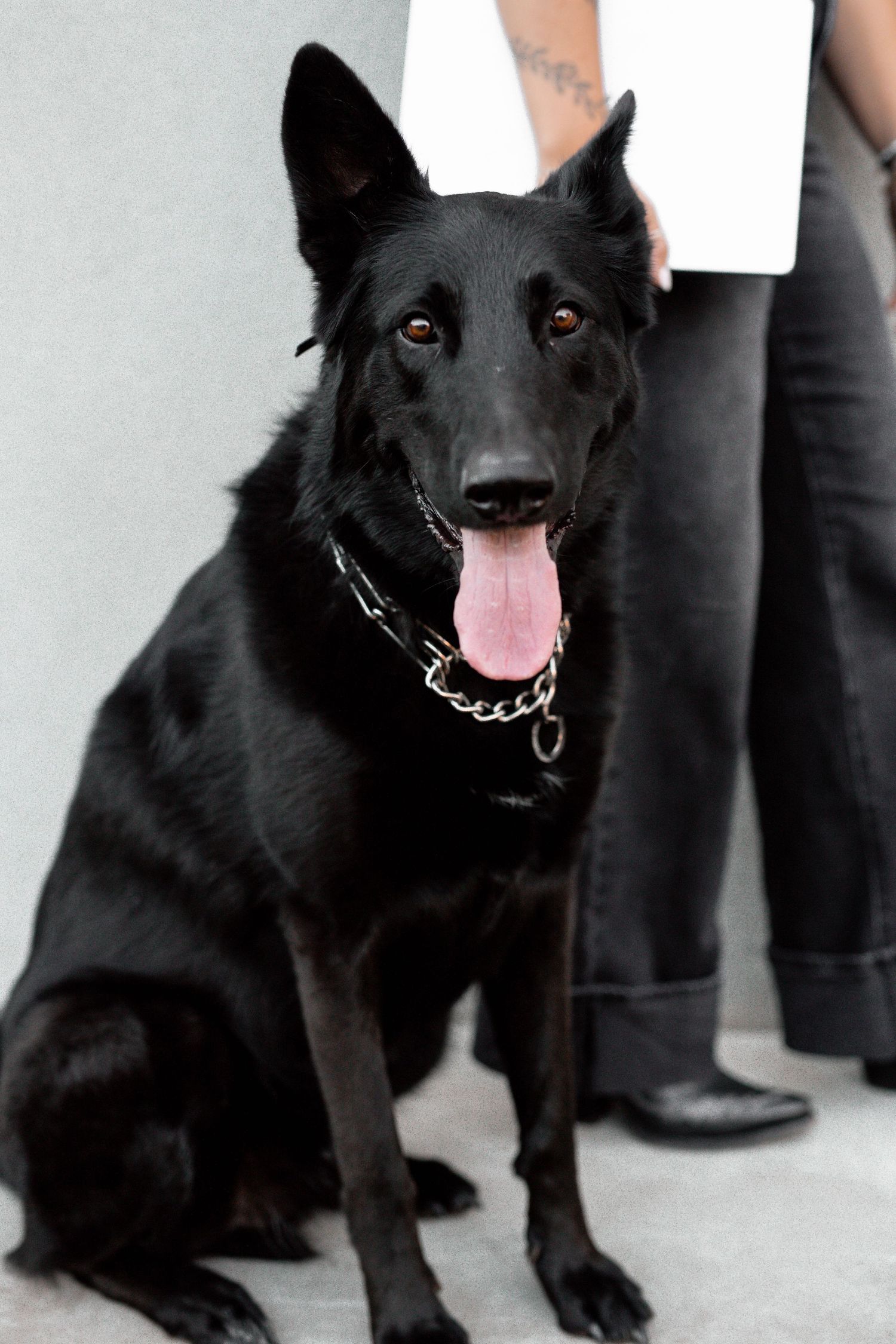 Maverick with happy expression sits for portrait against light background.