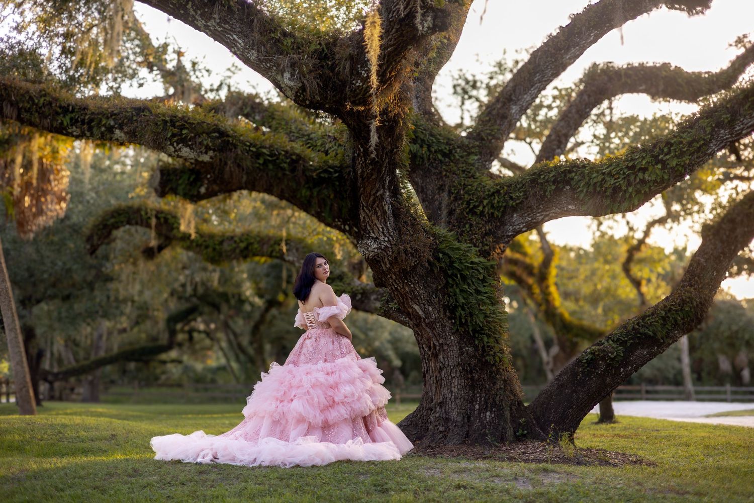 Young woman in pink ruffled ball gown poses beneath a massive moss-covered oak tree in a lush green park.